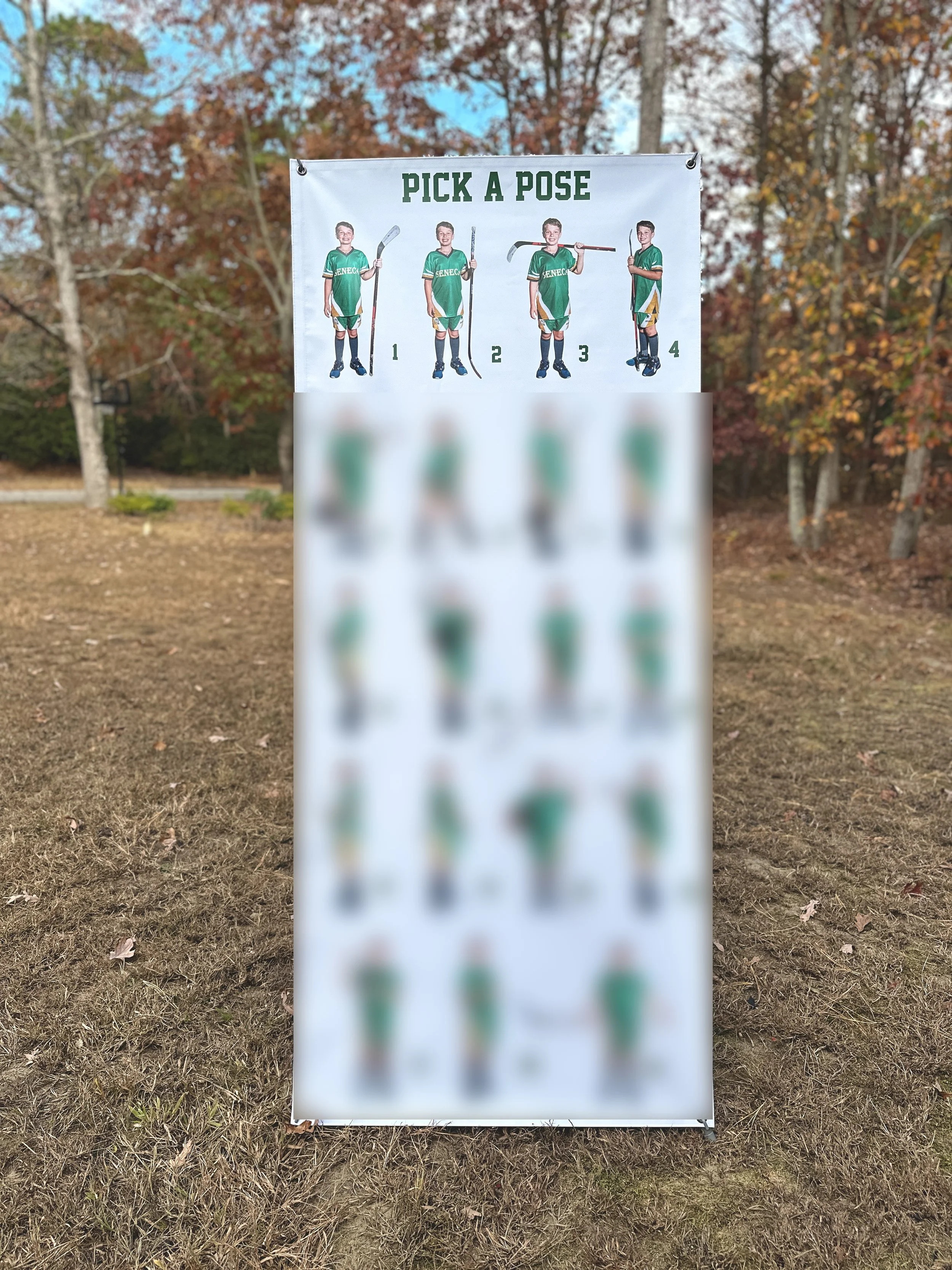 Dek Hockey Banner Etsy Listing.jpg