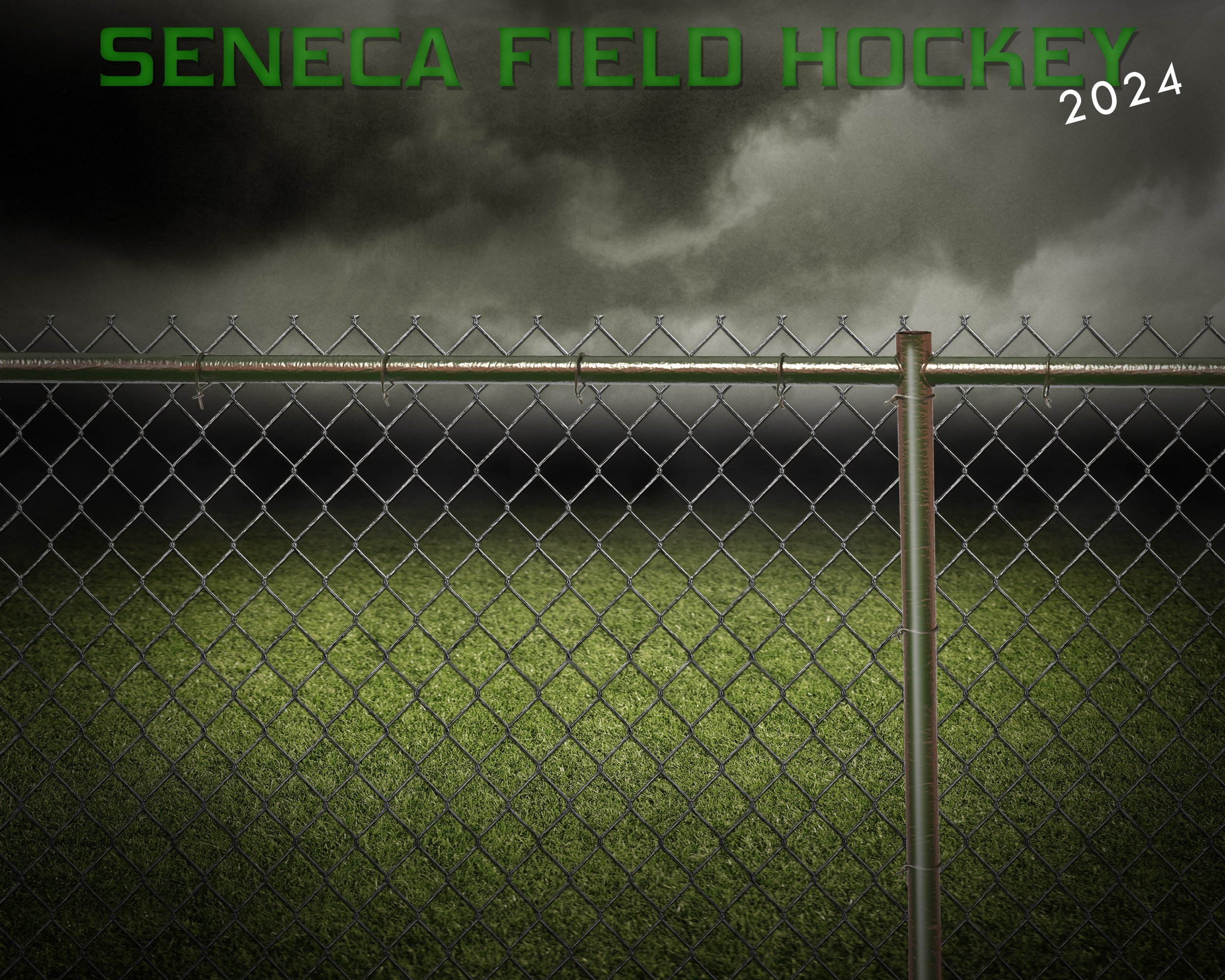 Fenced in Turf Team