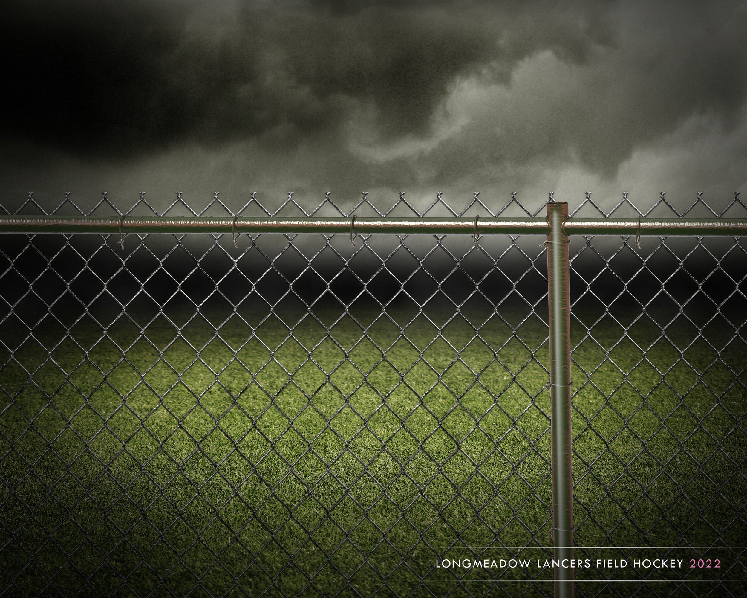 Fenced in Turf Team