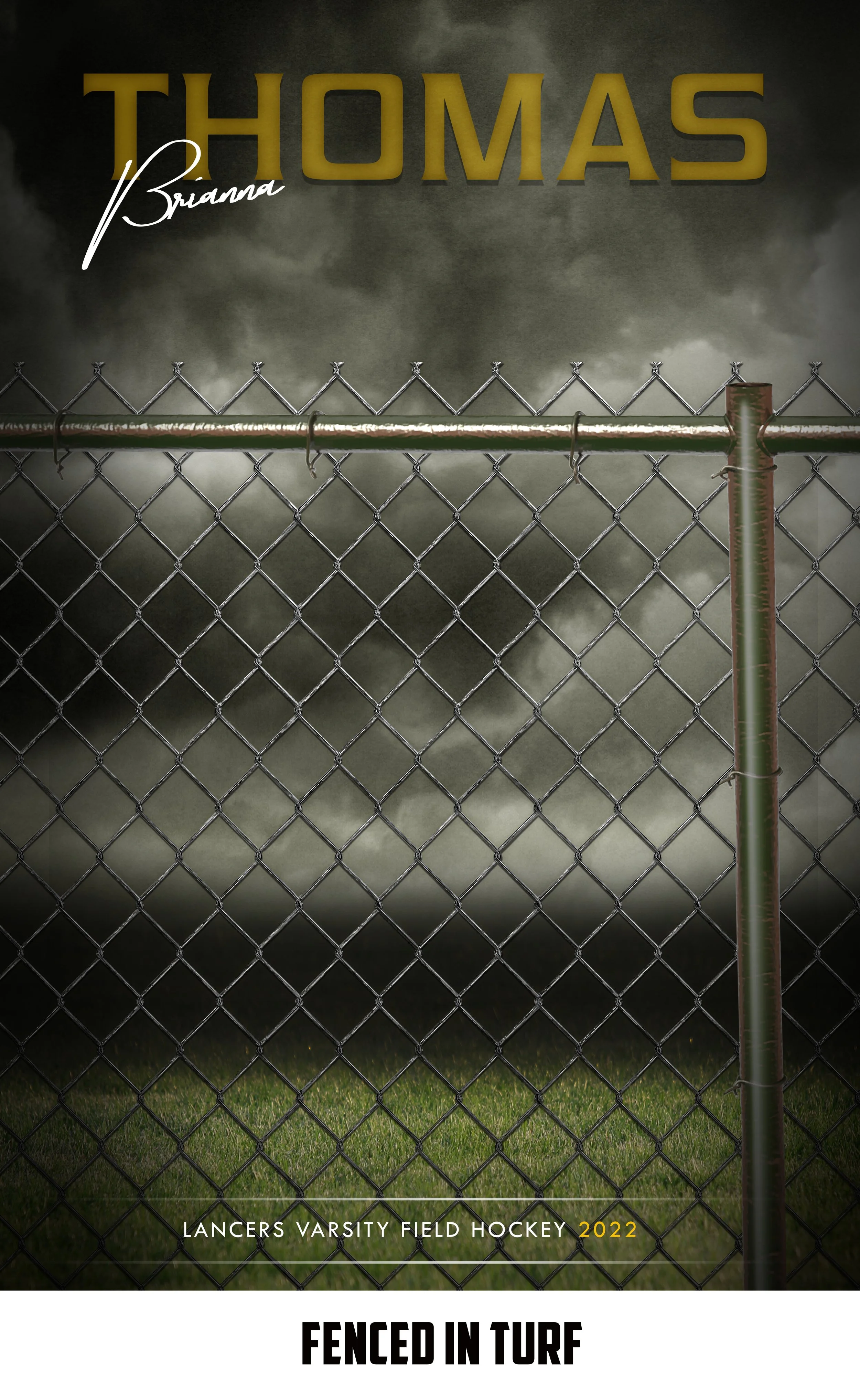 Fenced In Turf.jpg