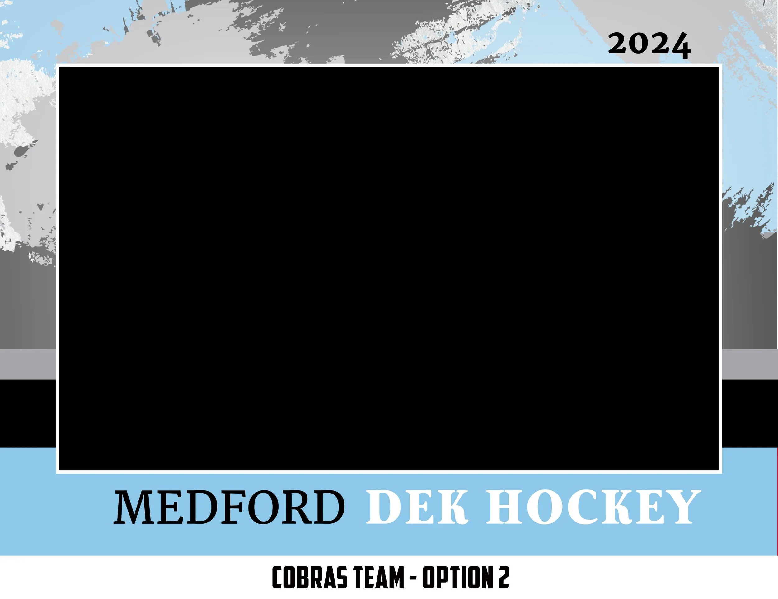 Cobras Team Dek Hockey.jpg