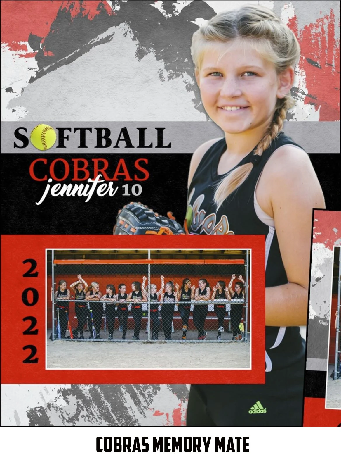 Cobras Memory Mate.jpg