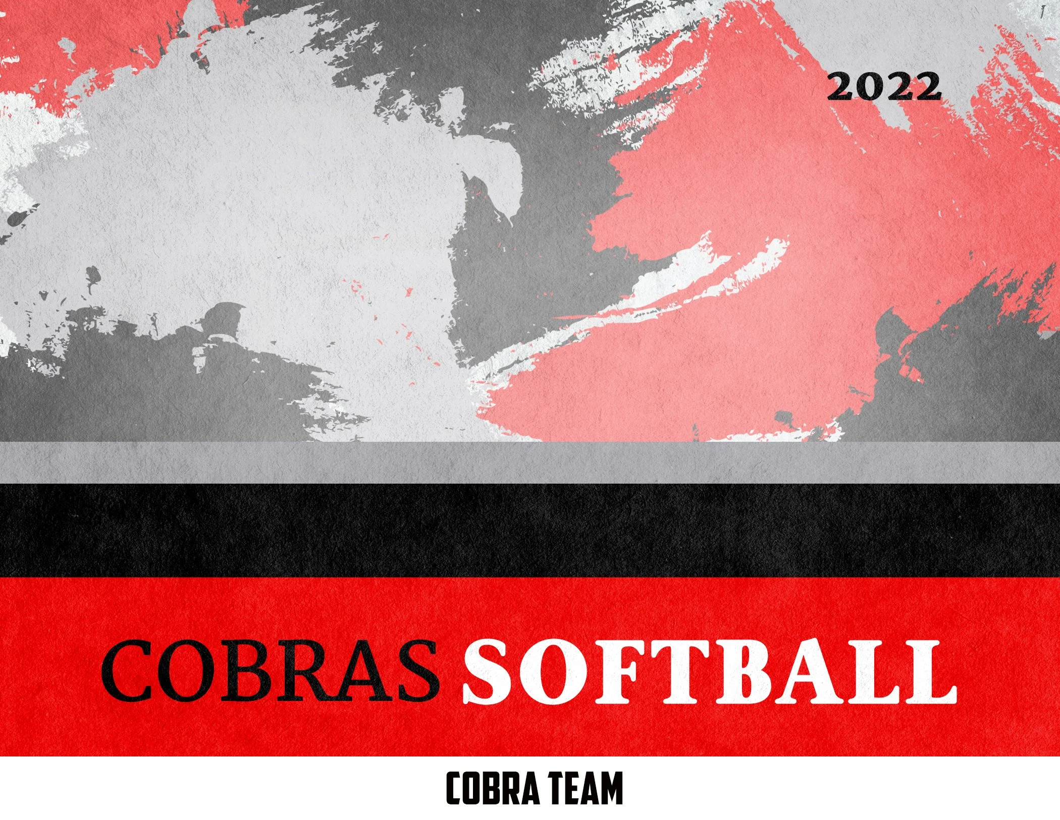 Cobra Team.jpg