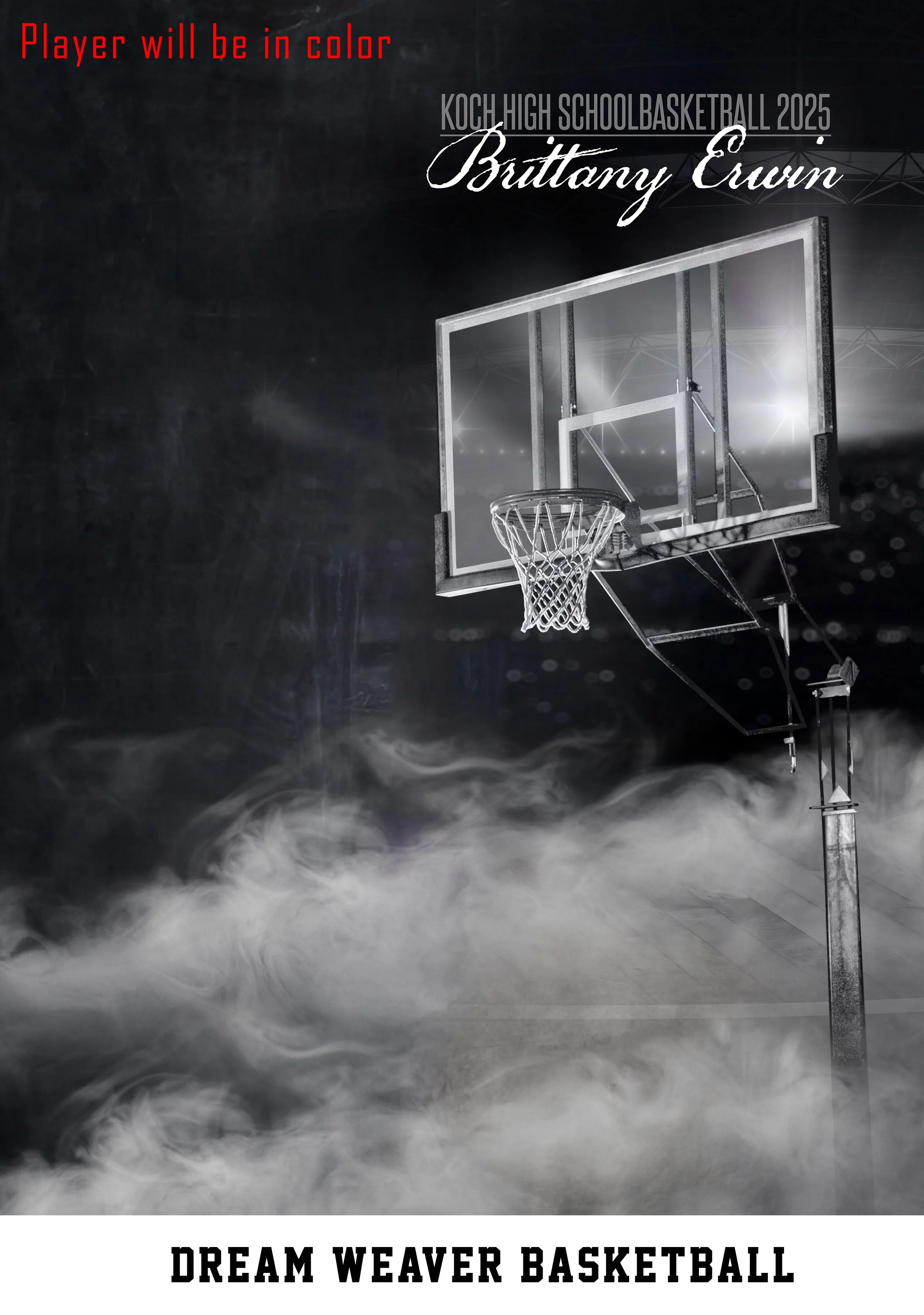 Dream Weaver Basketball.jpg