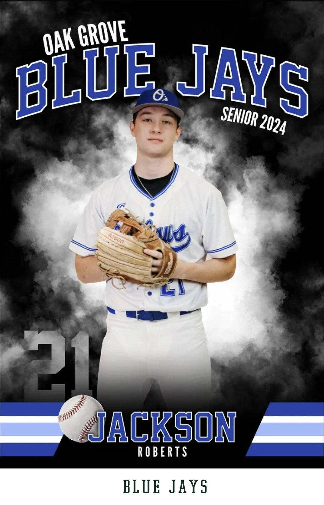 Blue Jays Baseball.png