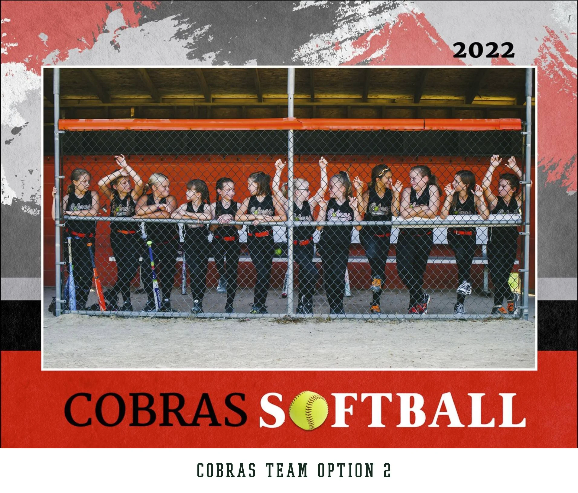 Cobras Team.jpg