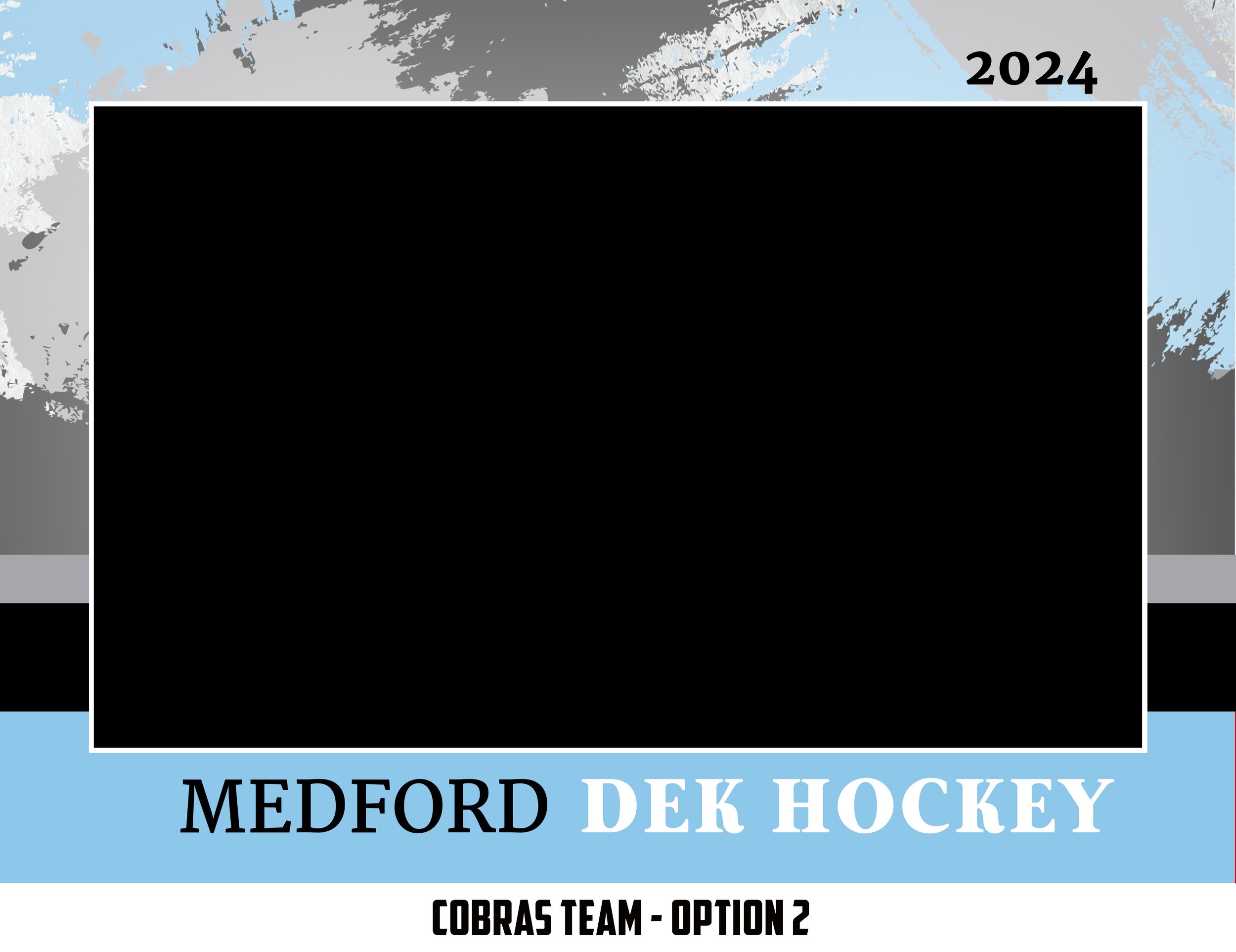 Cobras Team Dek Hockey.jpg