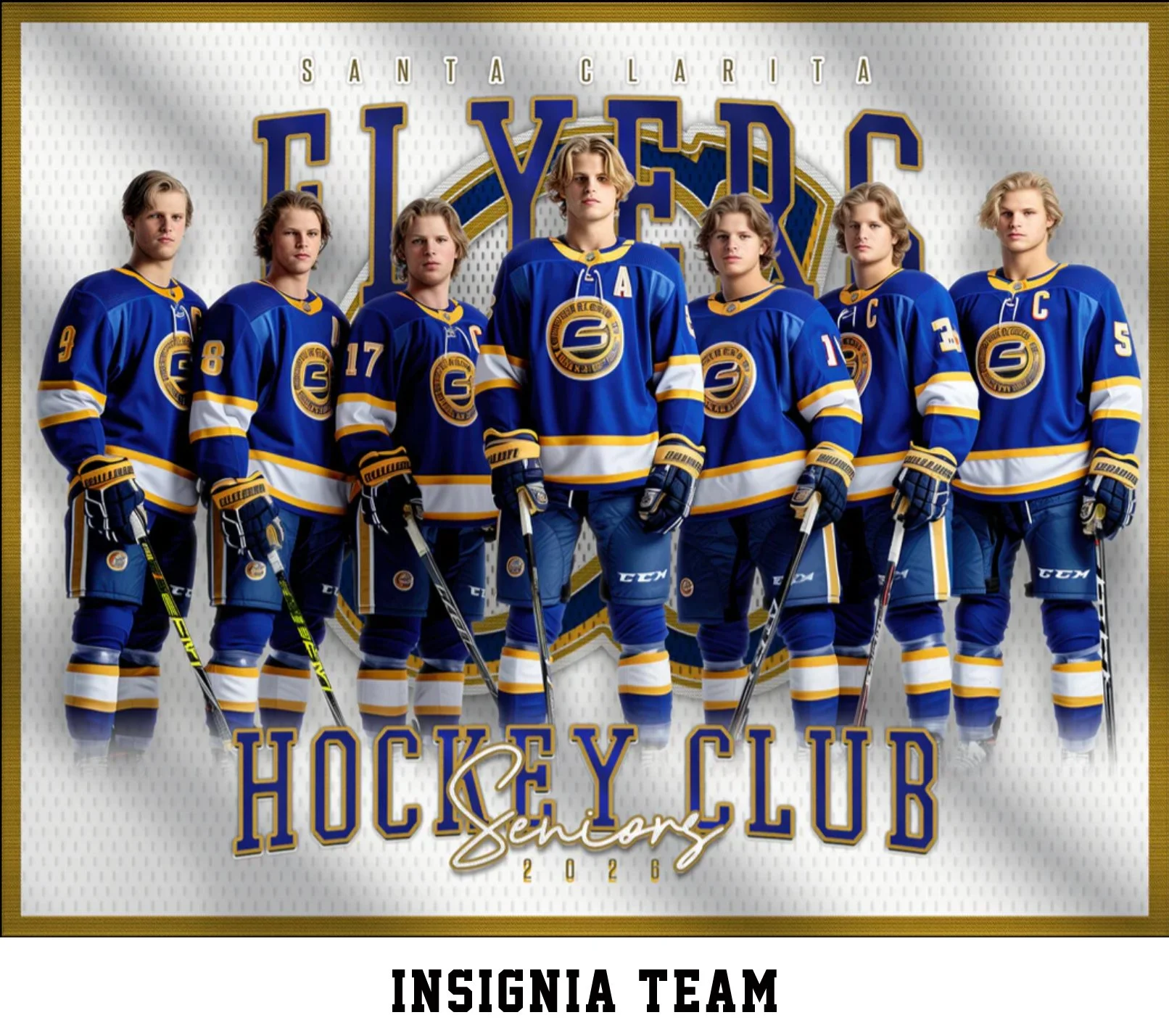Insignia Team.jpg
