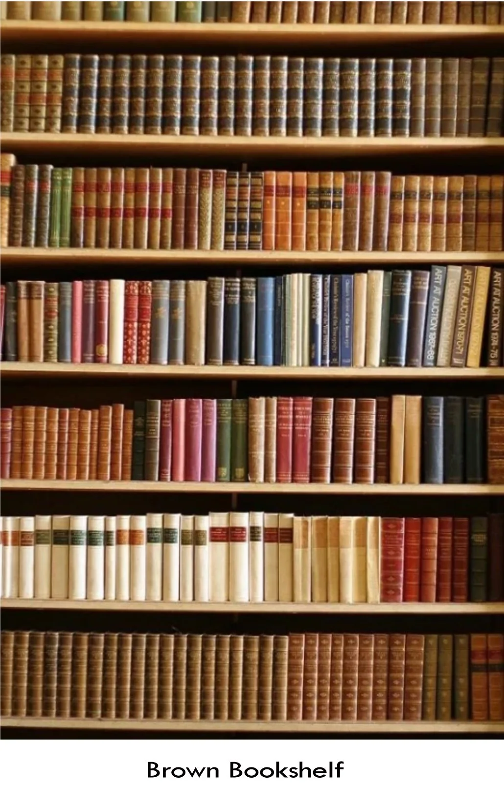 Brown Bookshelf.jpg