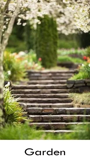 Garden.jpg
