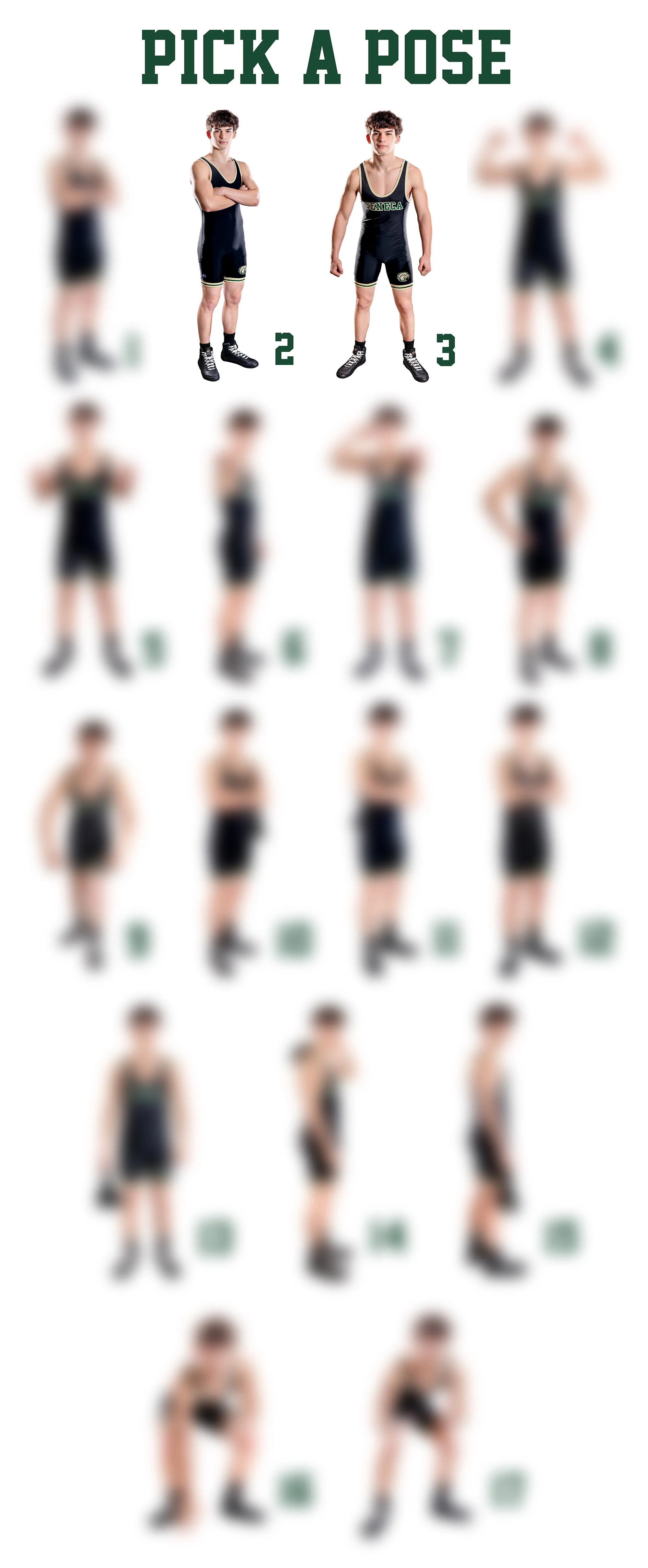 Wrestling Pick a Pose Banner Etsy.jpg