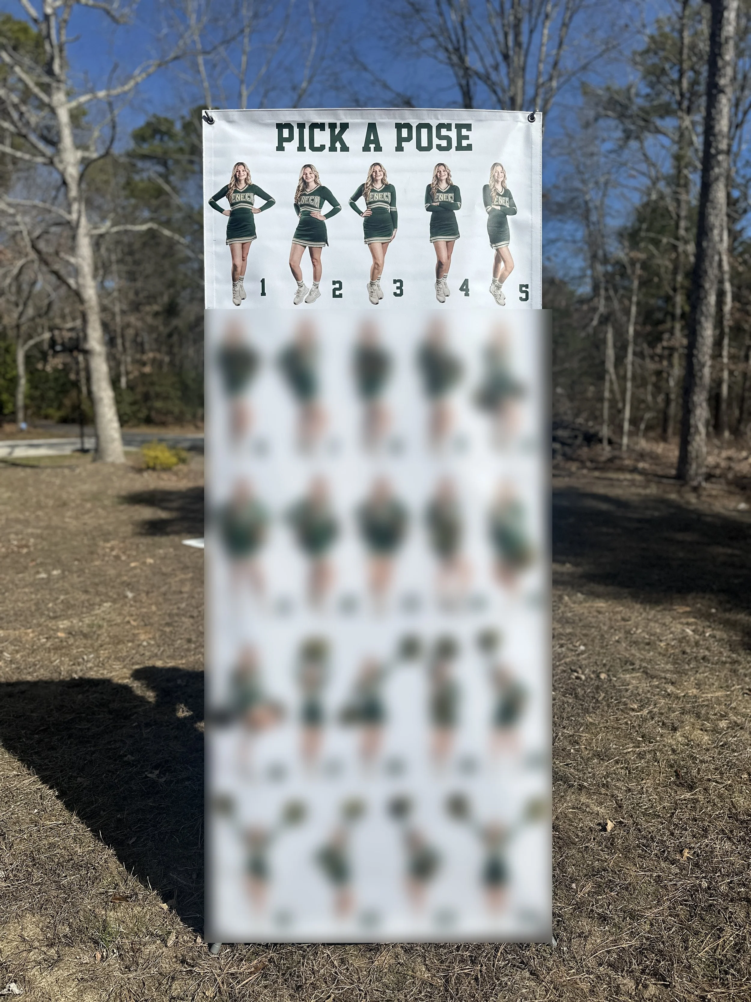 Cheerleading Pick a Pose Banner Etsy Listing.jpg