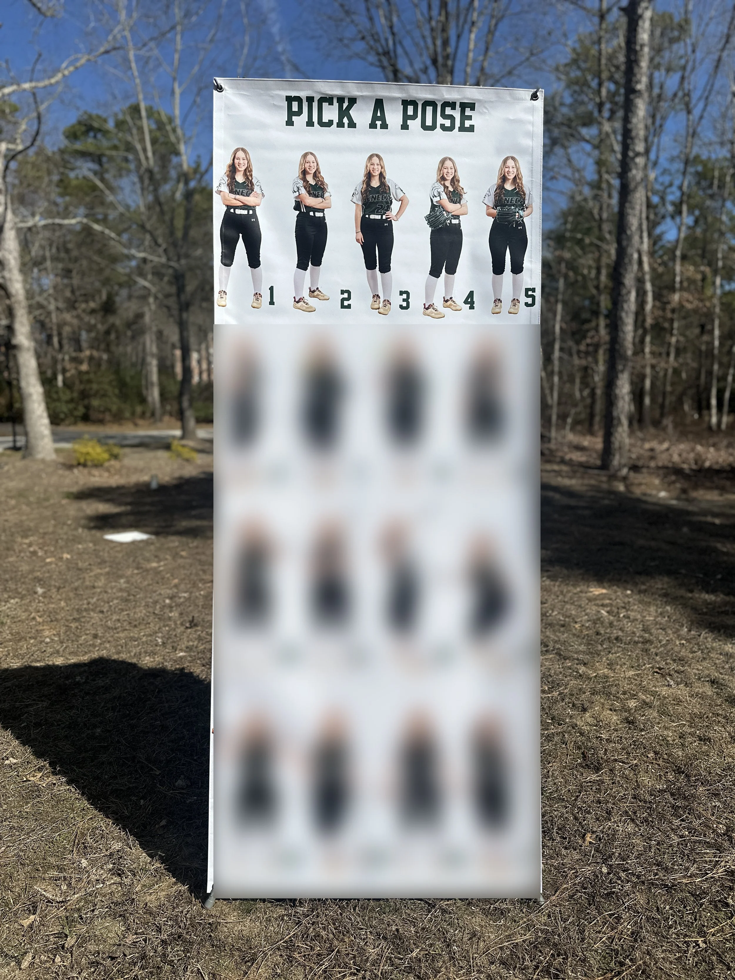 Softball Banner Etsy.jpg