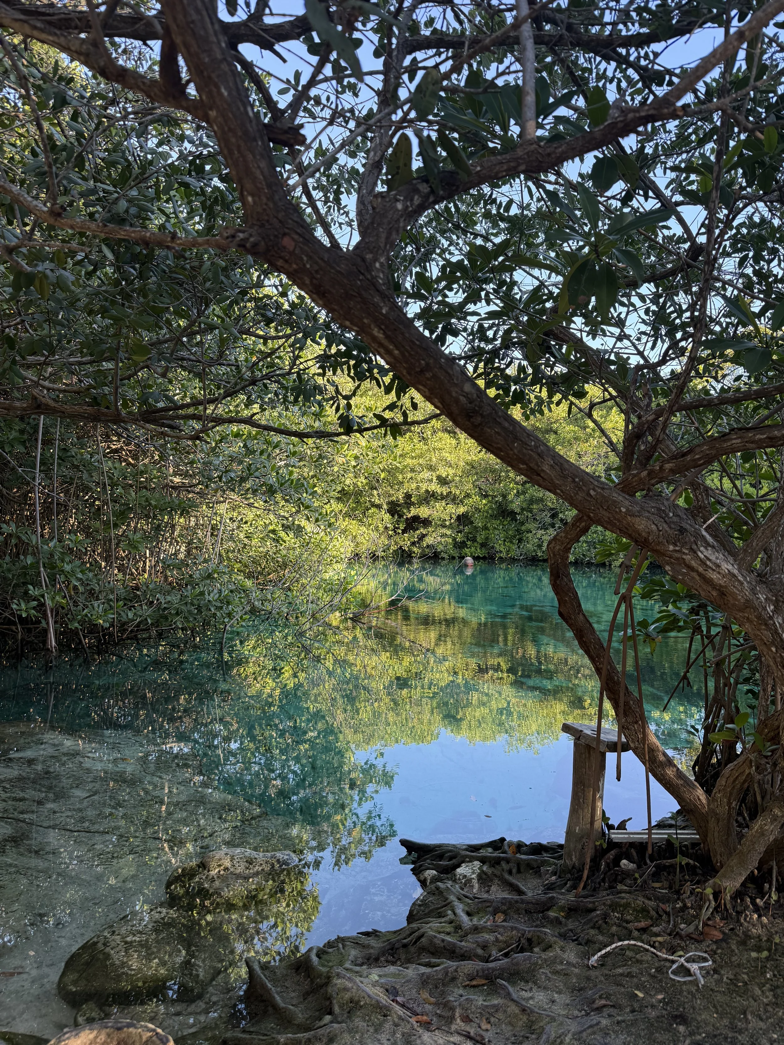 ご家族みんなにちょうどいいアレンジ
