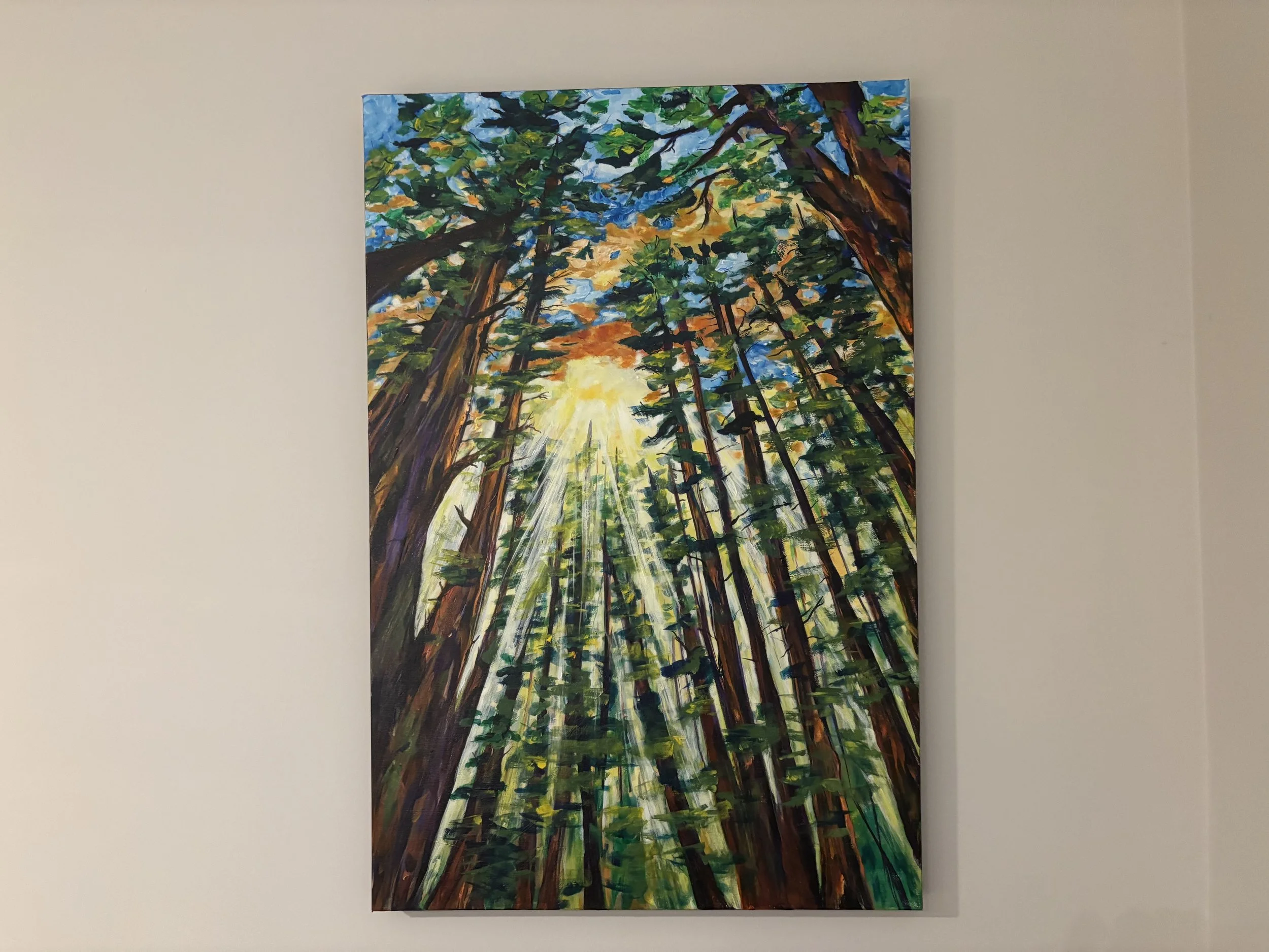 Cedar Glow
