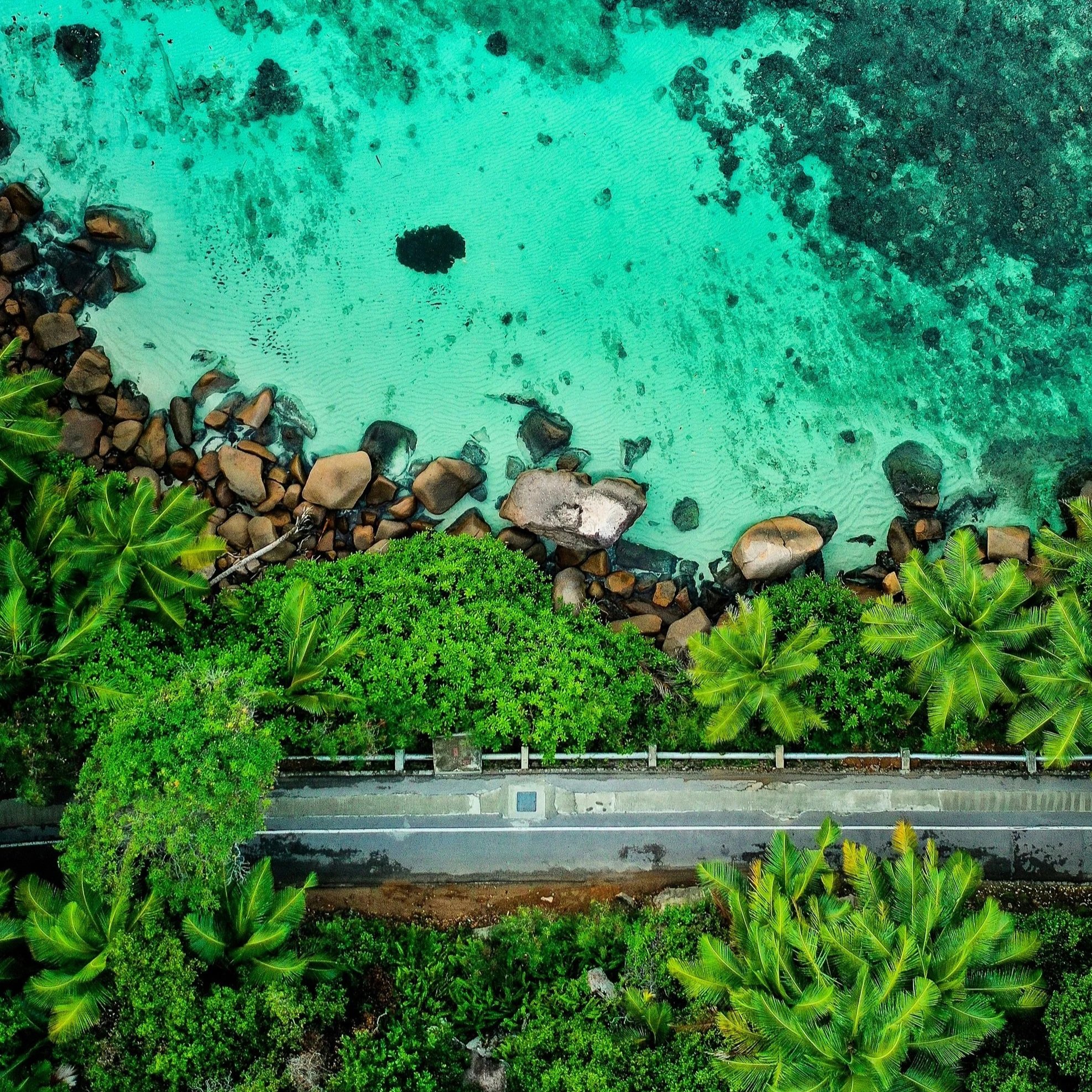 Ecosystem profile update for the Madagascar and the Indian Ocean Islands biodiversity hotspot launched