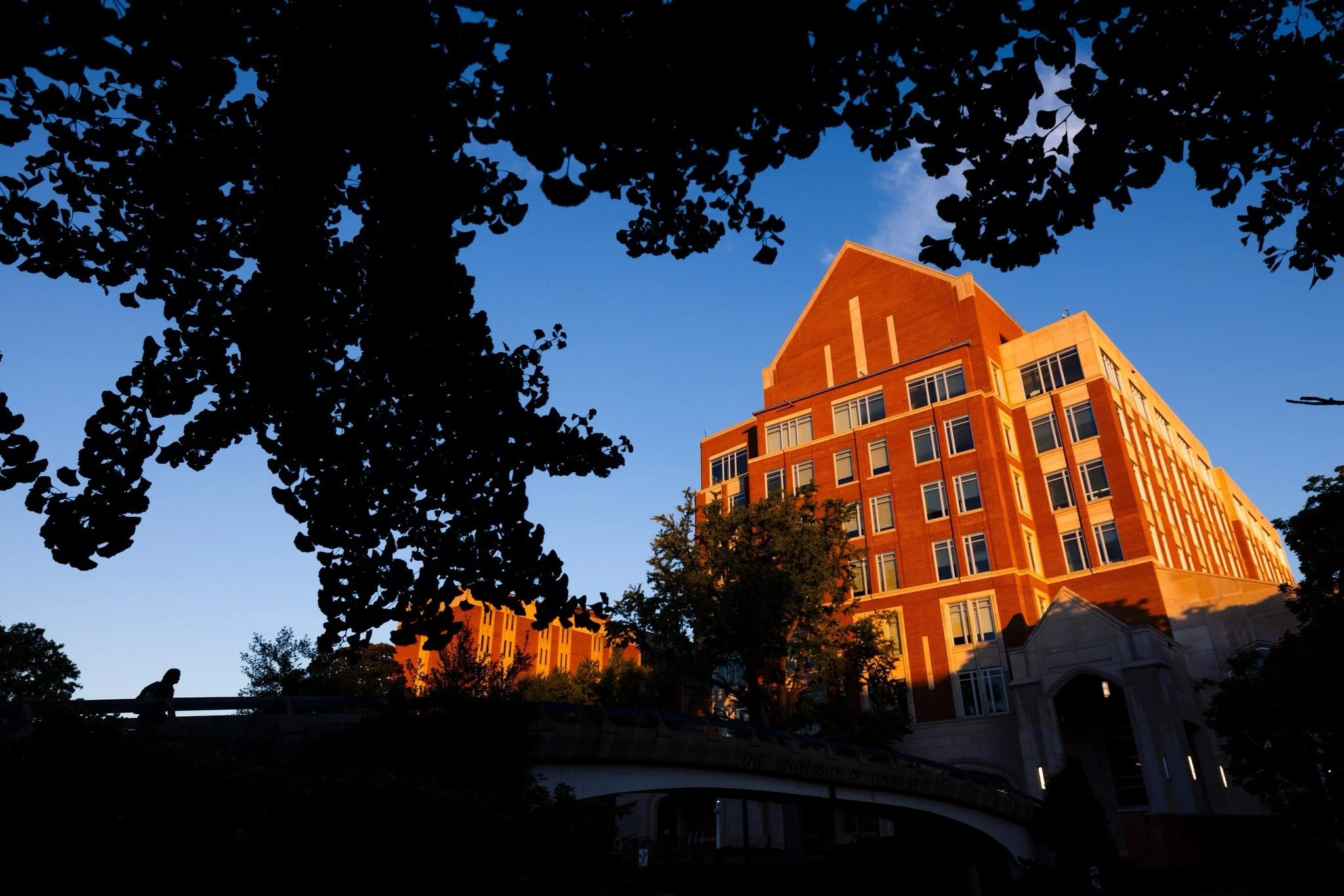 UT System Reports Record Enrollment, Research Growth, and Workforce Development Push in 2025