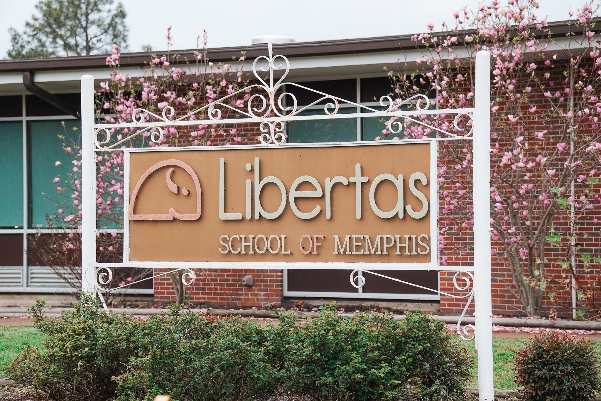 Polling Shows Strong Support for Public Charter Schools