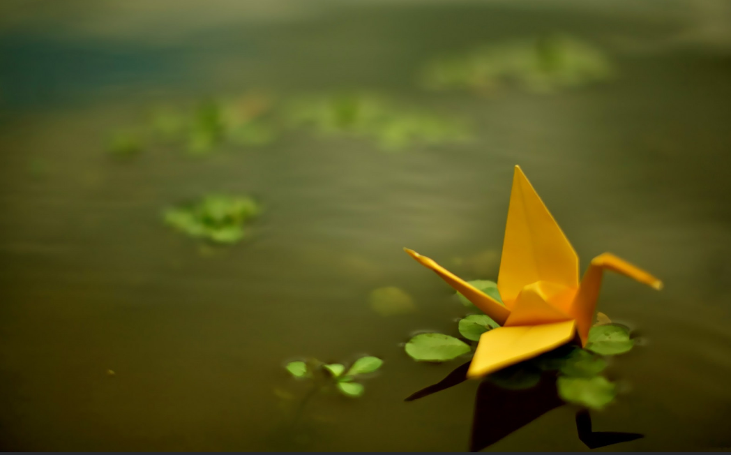 Survivor-Centered Spaces