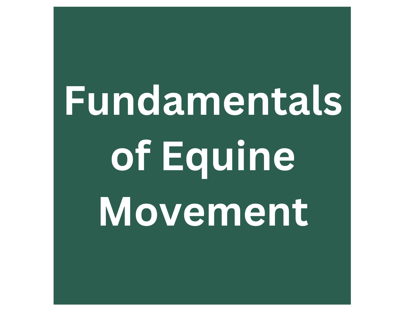Fundamentals of Equine Movement
