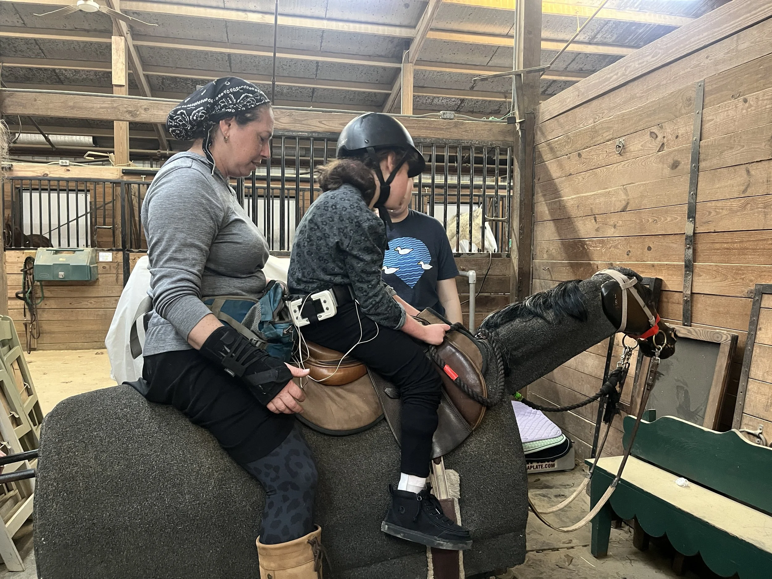 What is Hippotherapy? American Hippotherapy Association Inc