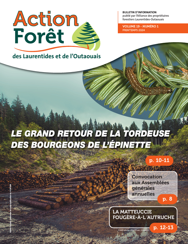 Action-forêt.png