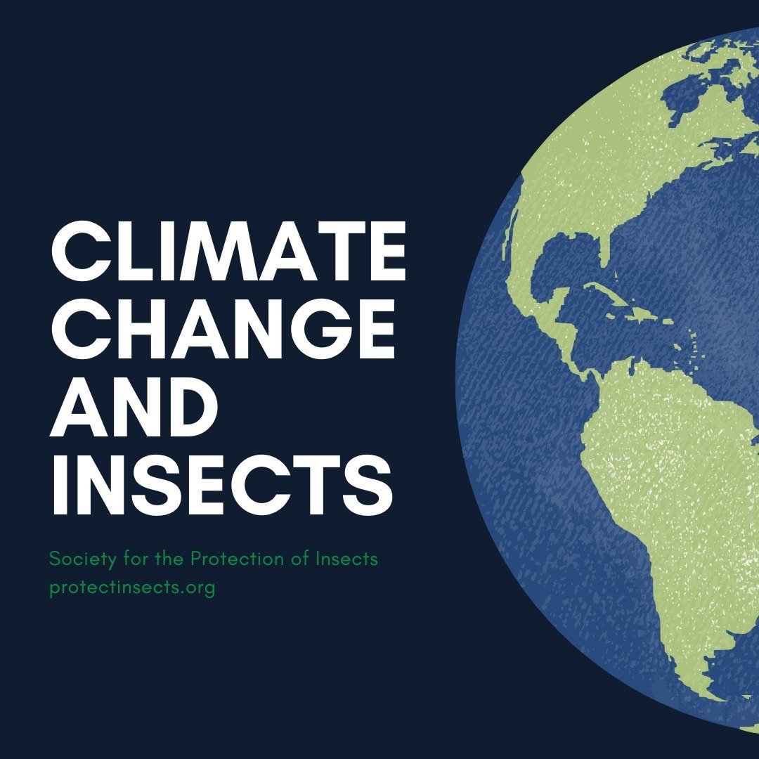 Global shifts in climate caused by human activities, mainly burning fossil fuels and raising animals for food, are projected to have catastrophic effects on insects. Scientists are ringing alarm bells about how poorly our cold-blooded friends are far