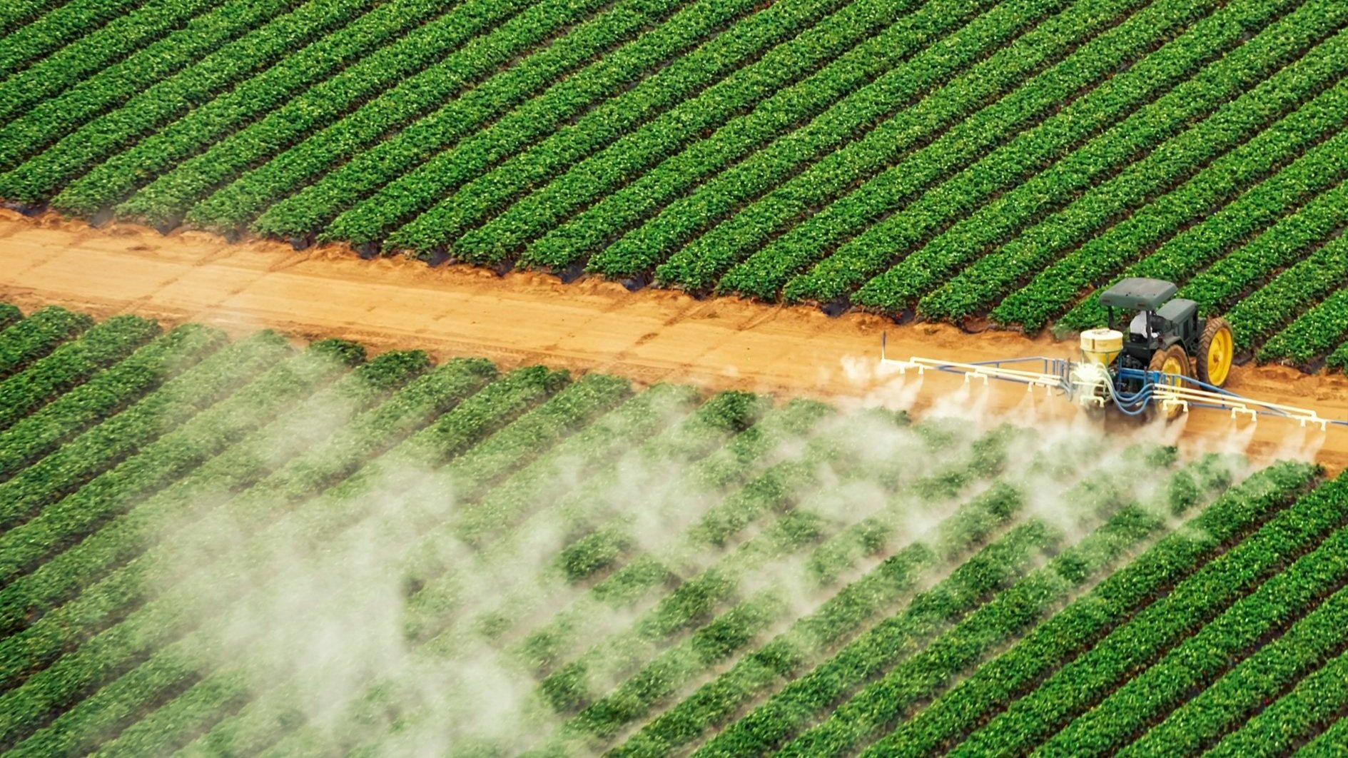 Reform Pesticide Use