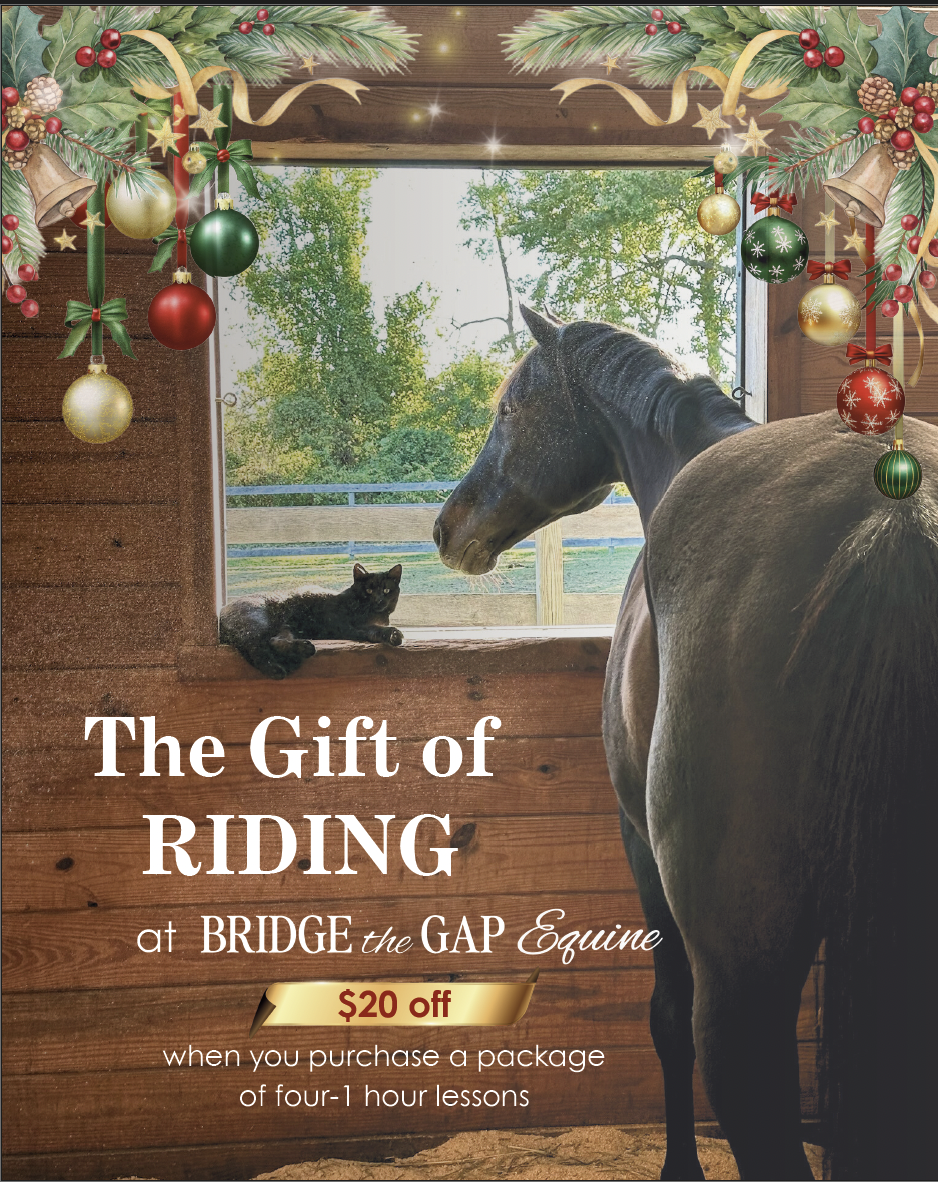 Screenshot 2025-12-14 at 12.05.40 PM.png