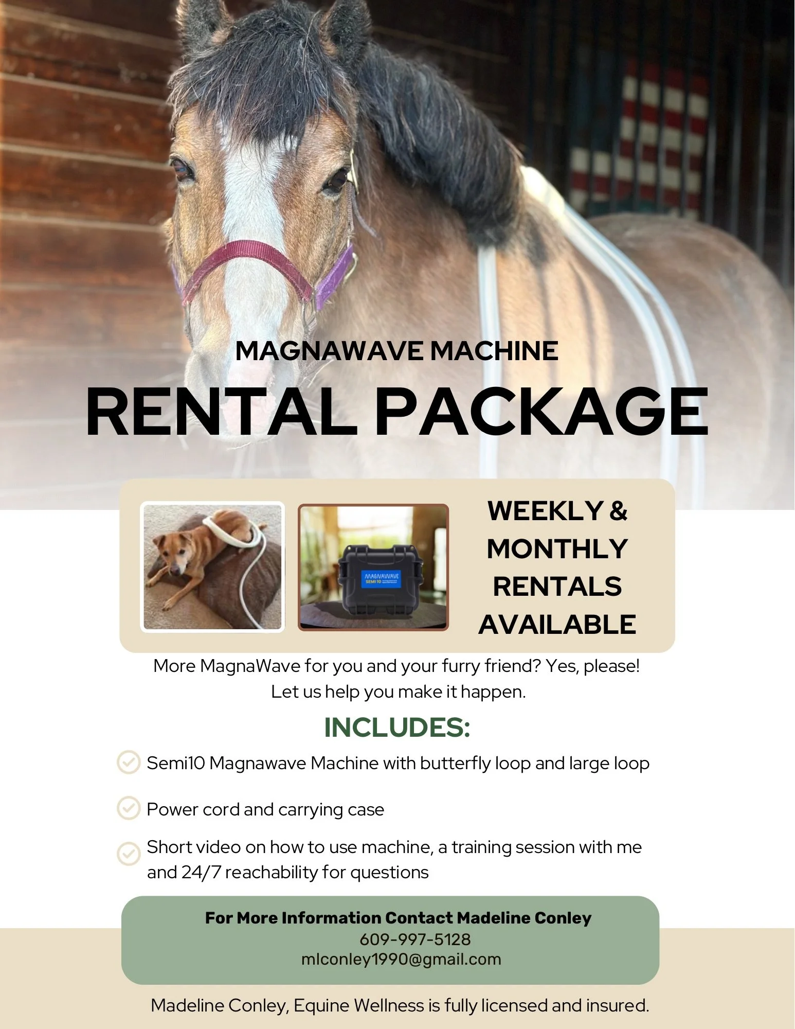 Rental Package PEMF.JPG