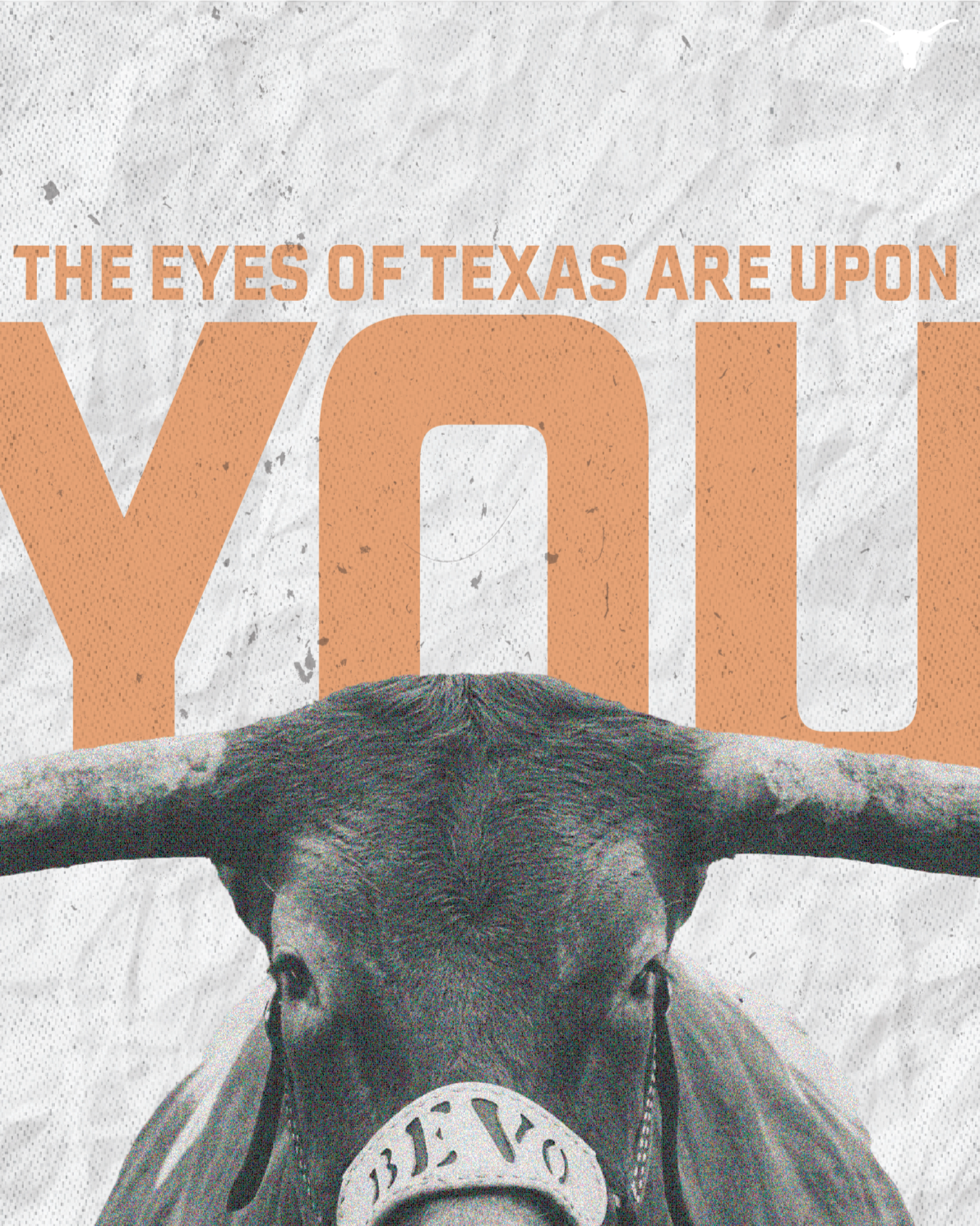 Social Media Graphics and Print Work