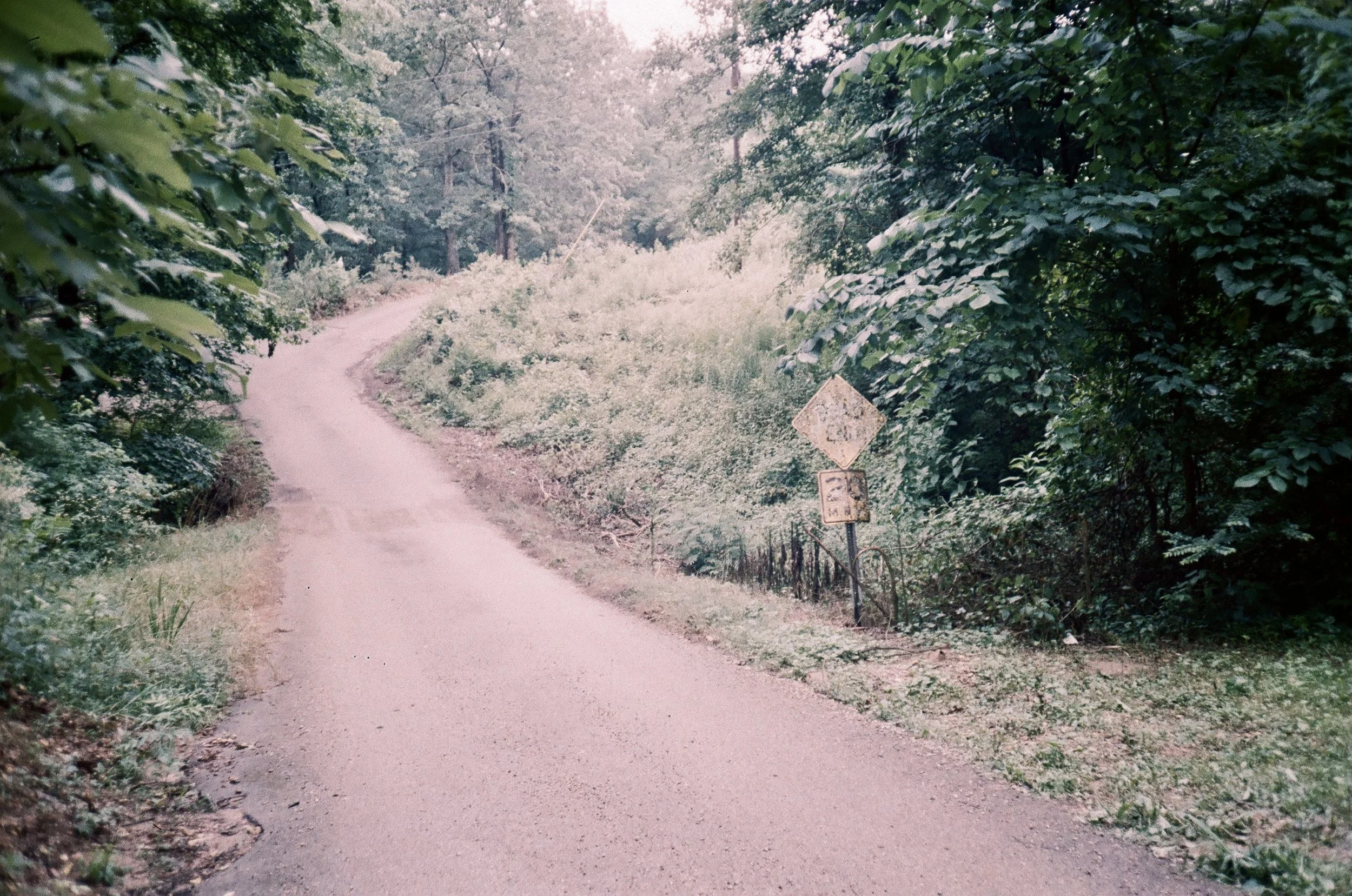 53390287.jpg