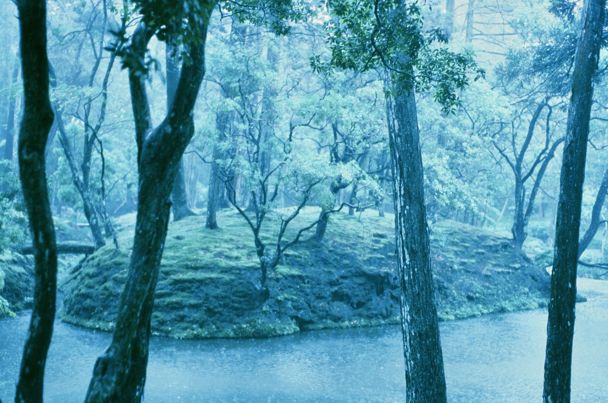62853901_991567_12b041e15d20918ae4a4cf375b443048_full.jpg