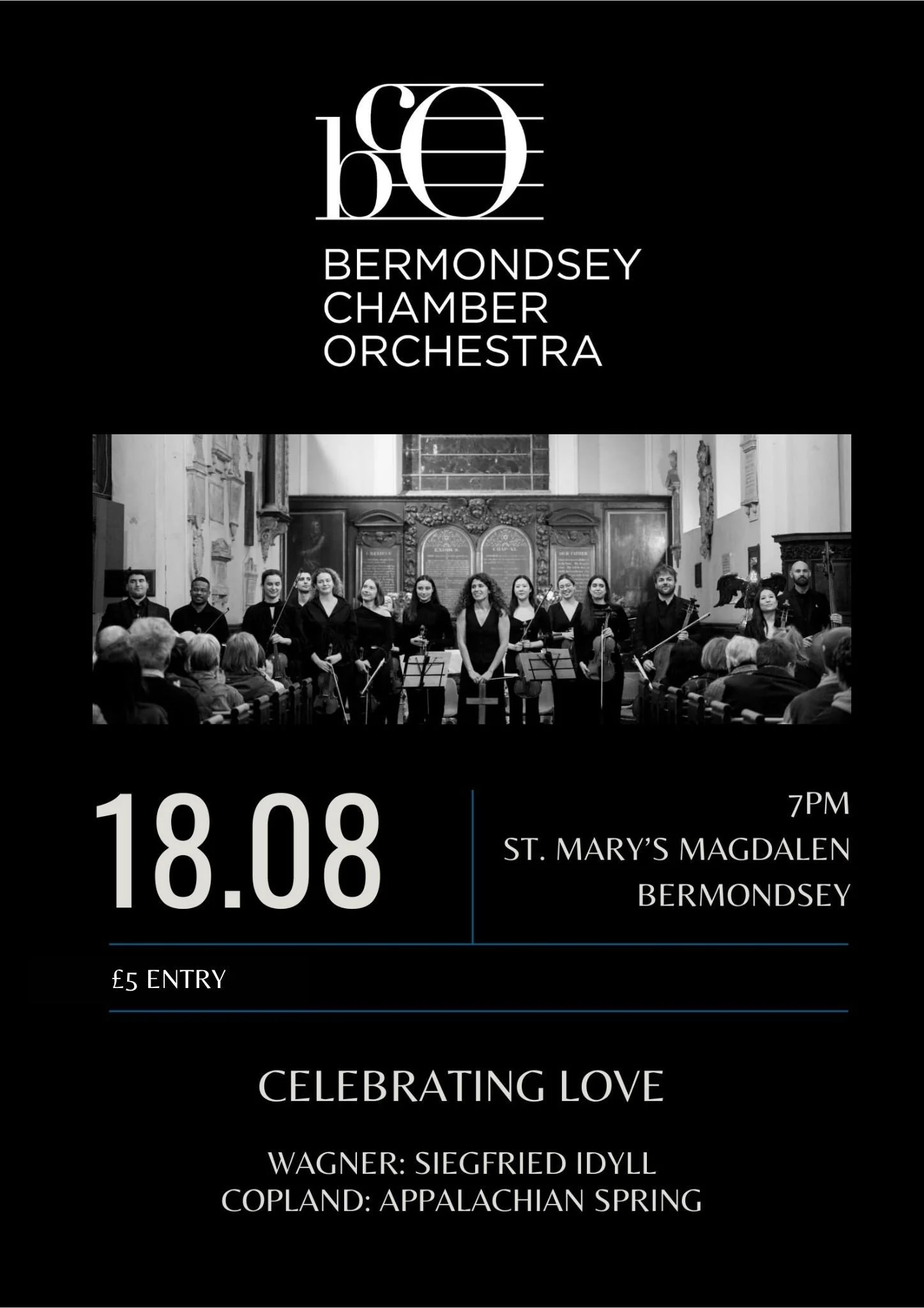 Bermondsey Chamber Orchestra in concert