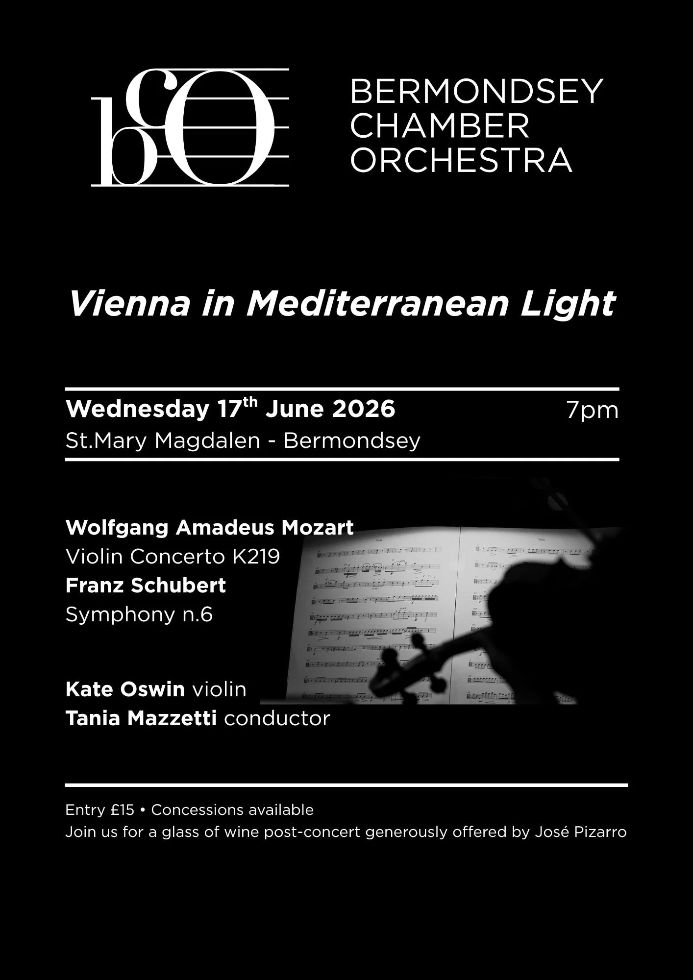 Bermondsey Chamber Orchestra in concert