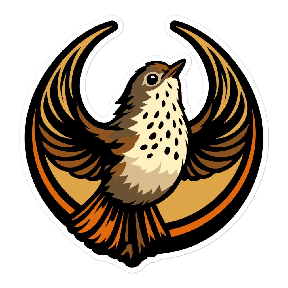 Thrush Bird Sticker REBEL BIRDS - VT, Hermit Thrush, Set of pin buttons — Four Point Five ...