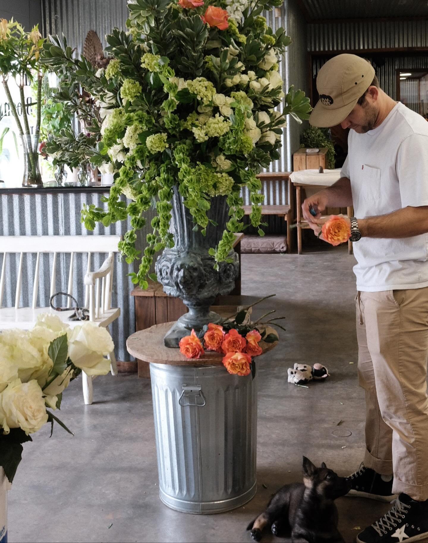 Everyone welcome In Bloom&rsquo;s newest employee, Osita McCool.