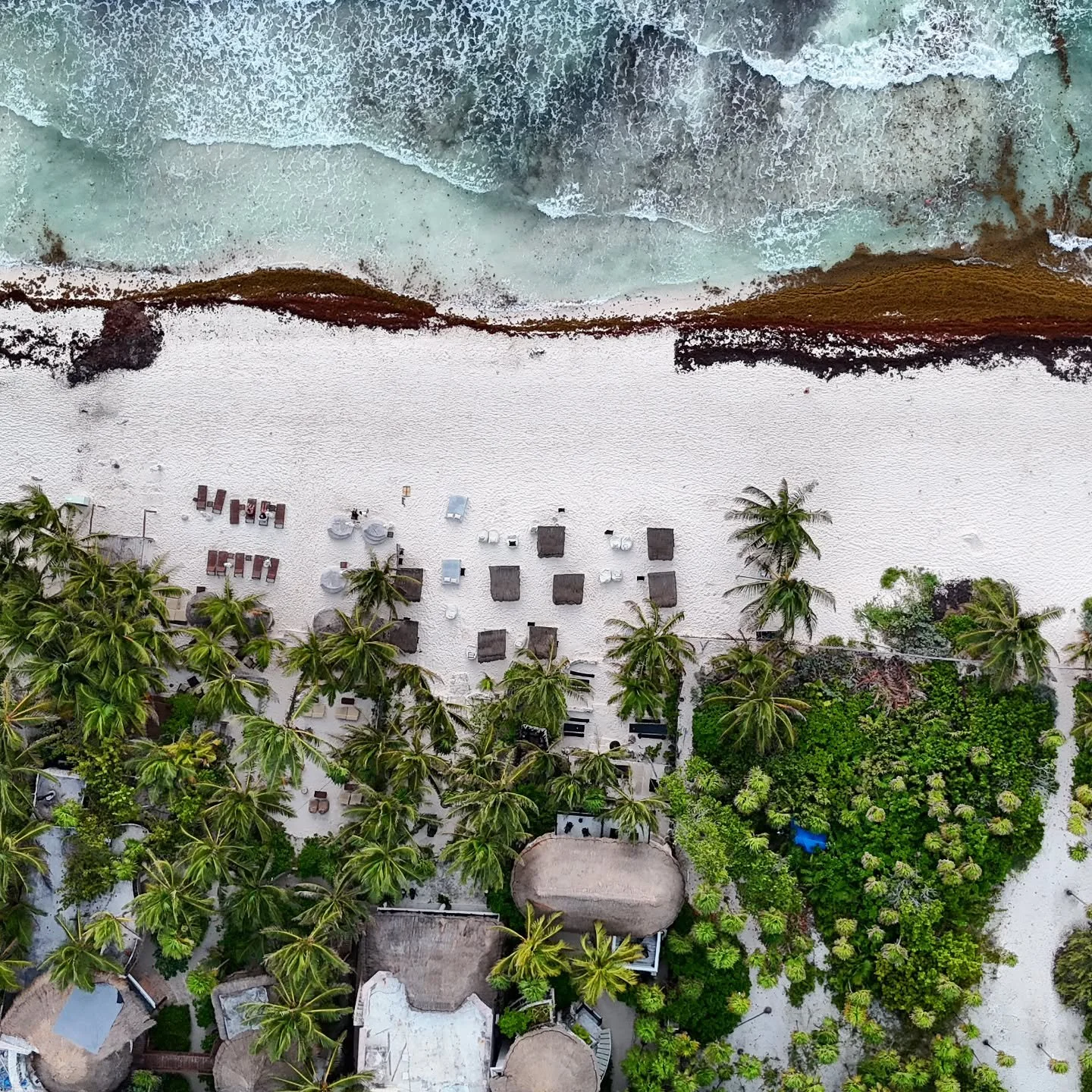NEST Tulum
#tulummexico #tulum #mexicotravel #beachphotography #beachview #mini4pro