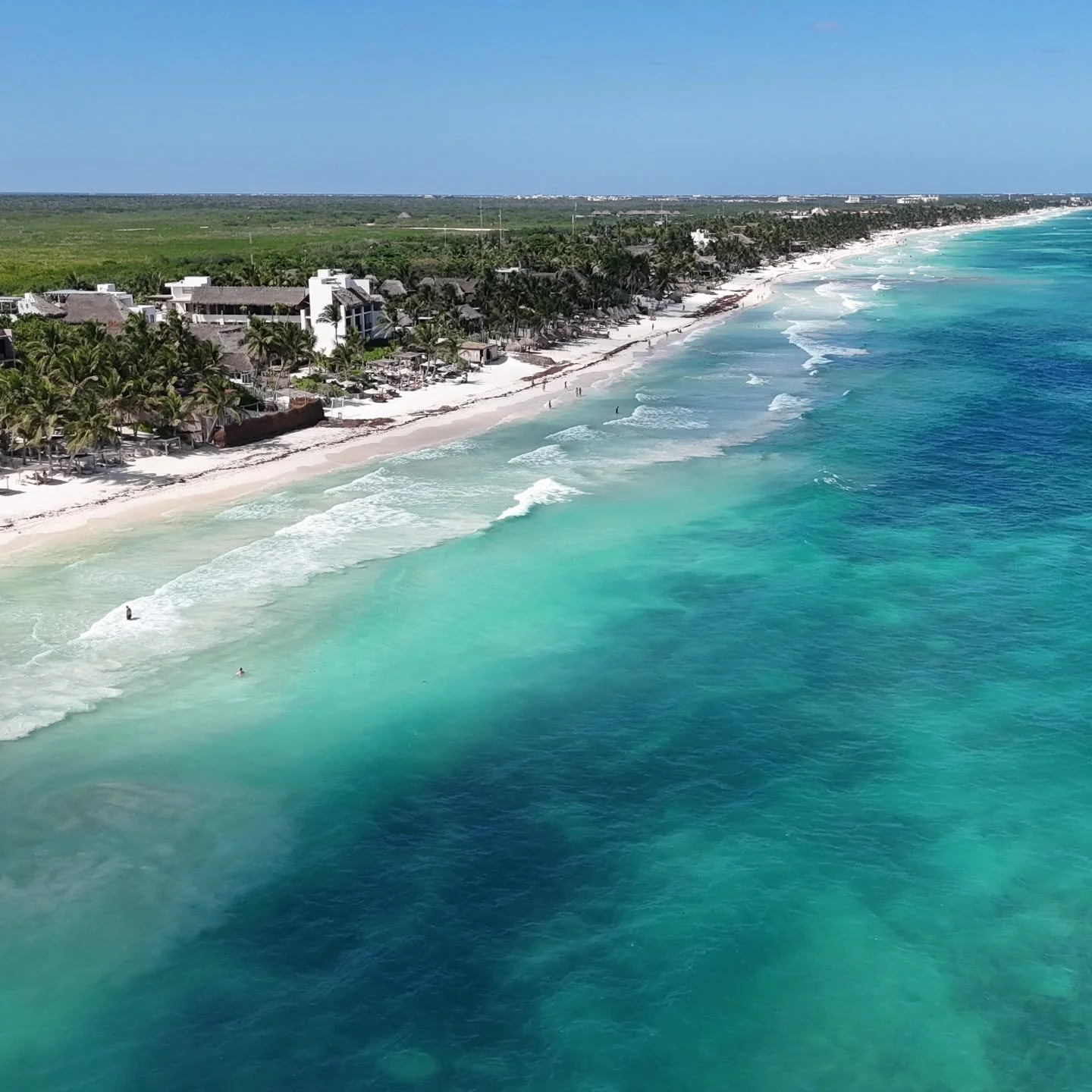 Well deserved week of vacation in Tulum. Stay tuned for some videos. 
#tulummexico #tulum #mexicotravel #beachphotography #beachview #mini4pro