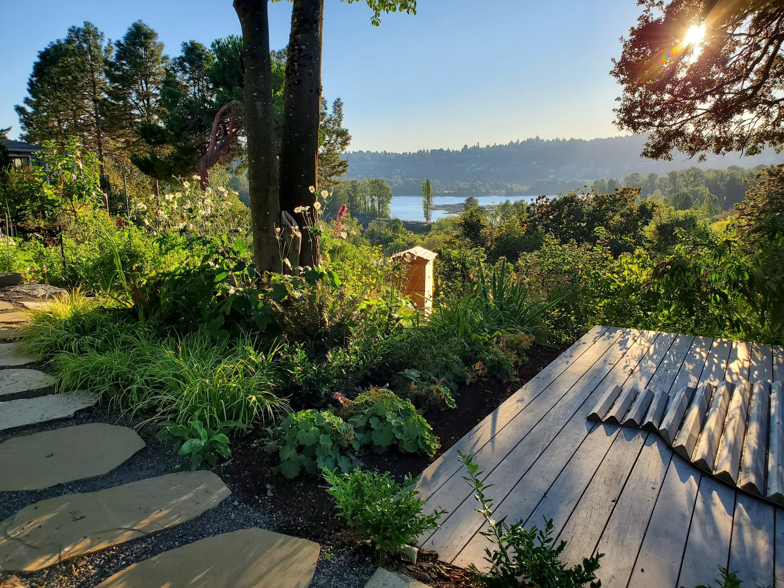 Sellwood

This project involved landscaping, hardscaping, as well as building decking that surrounded an outdoor hotub. 
Collaboration with Bothwell Landscape Studio