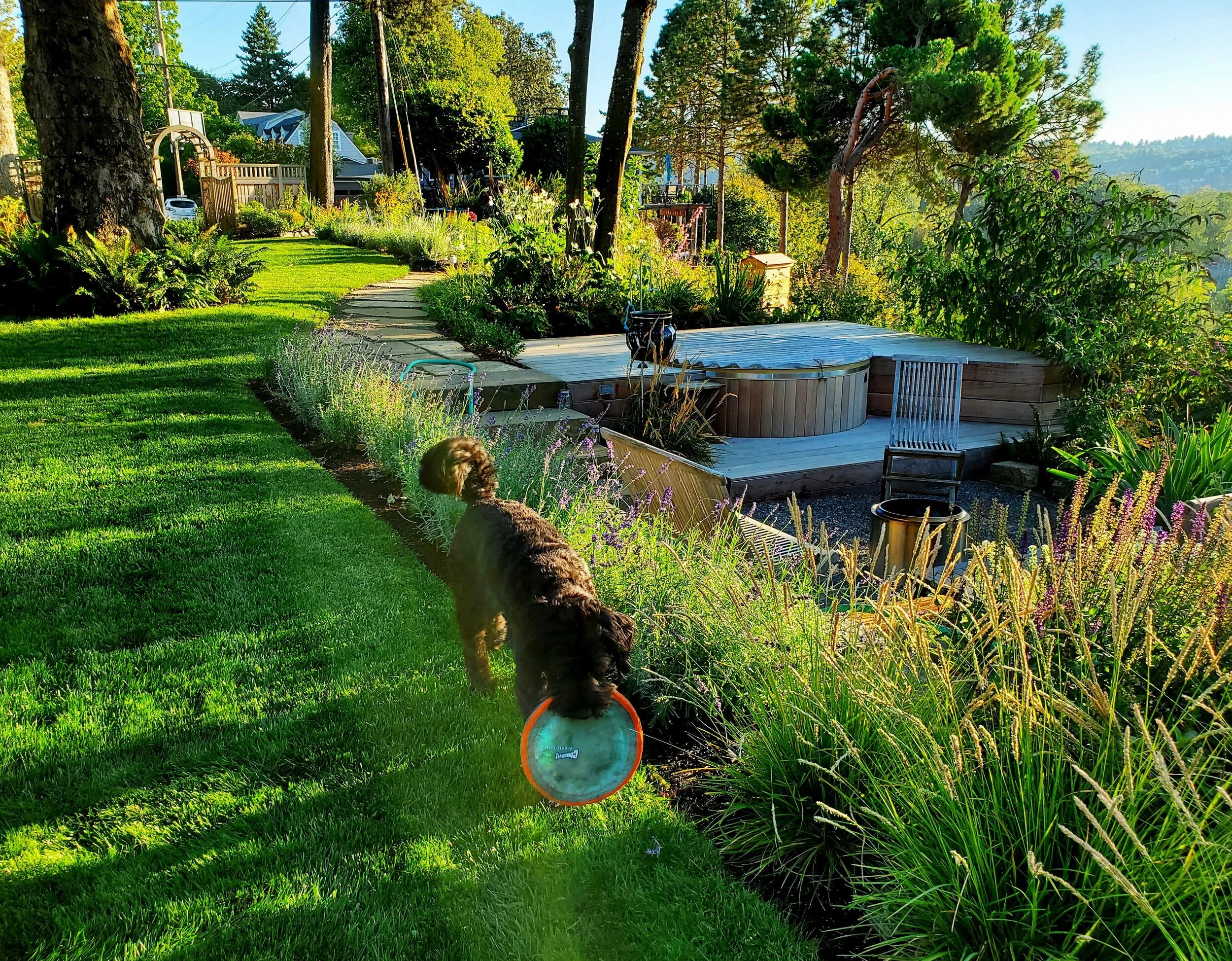 Sellwood3.jpg