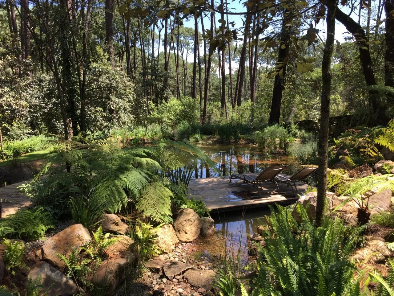 Valle de Bravo Sanctuary
Valle de Bravo, Mexico.

This house nestled in the  forest of beautiful Valle de Bravo, a town located about two hours from Mexico City. We did the full landscaping, hardscaping with huge boulders and stones, a rood garden an