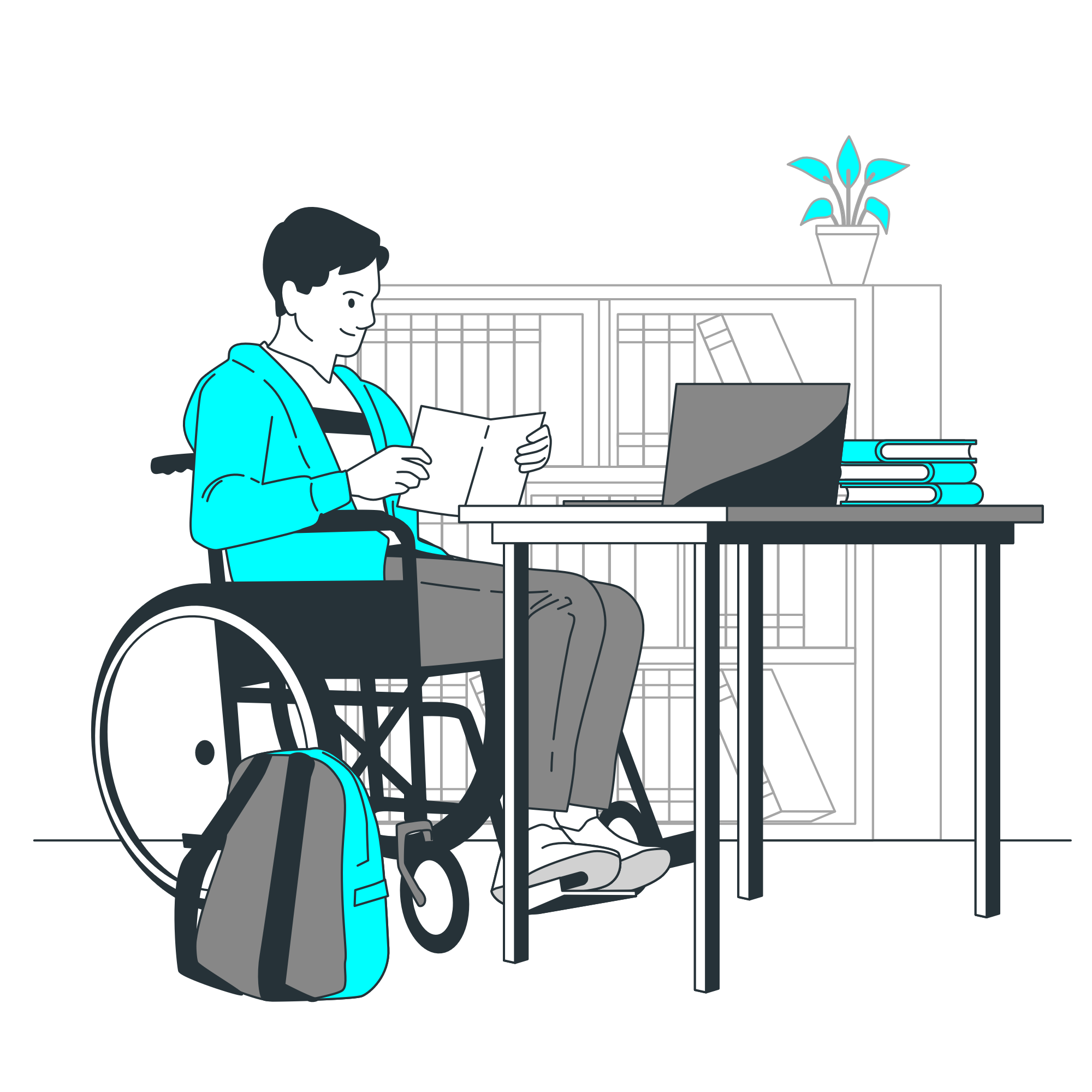 Universal Design & Accessibility Audit