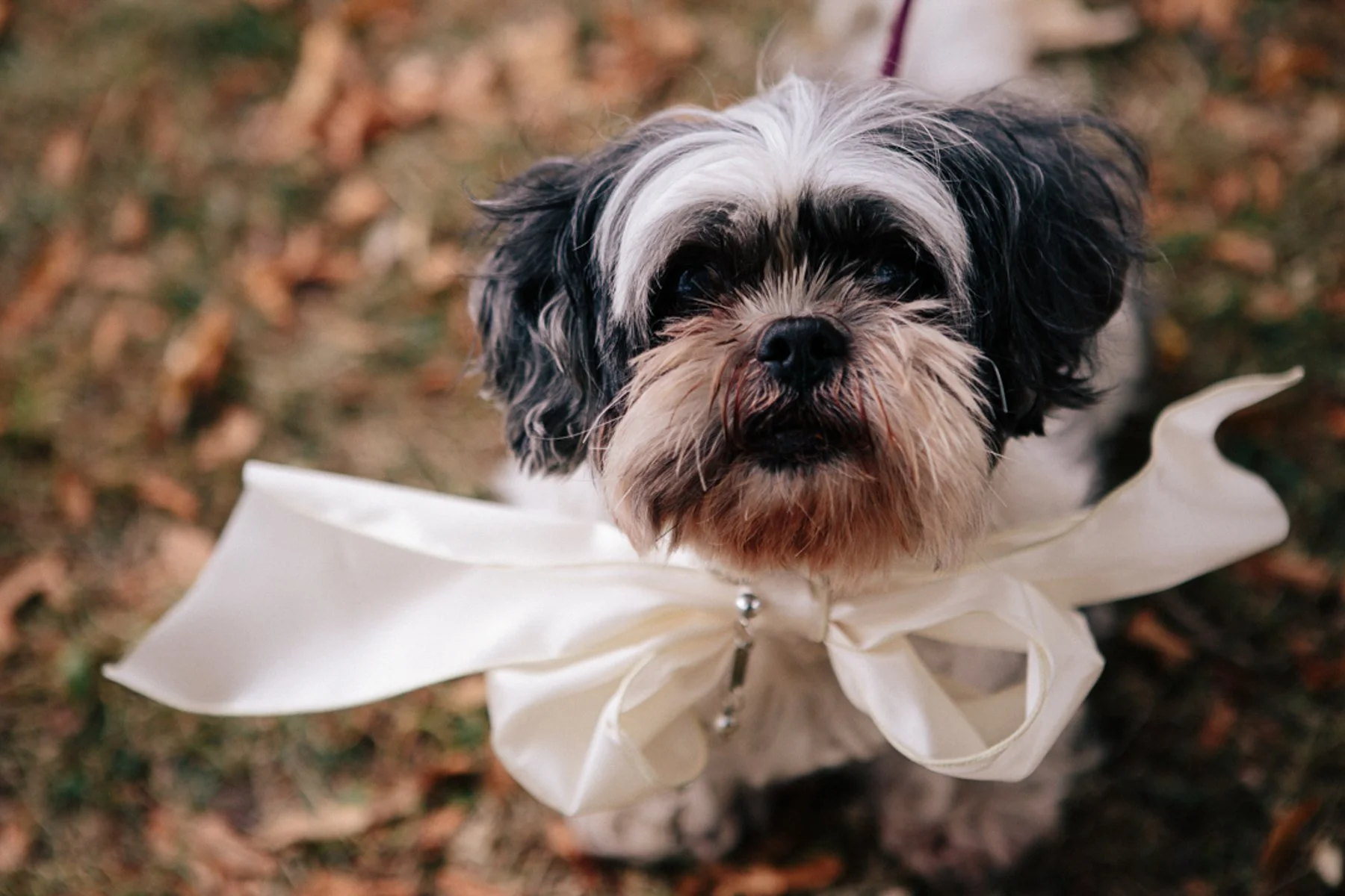 Wedding Portfolio_060.jpg