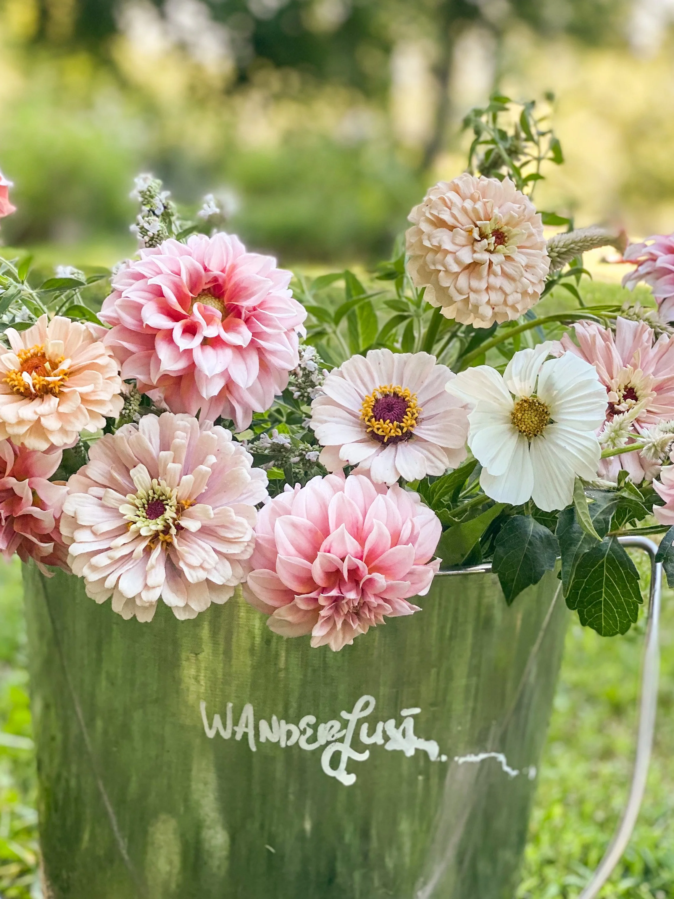 IMG_0132_jpg (1).JPG