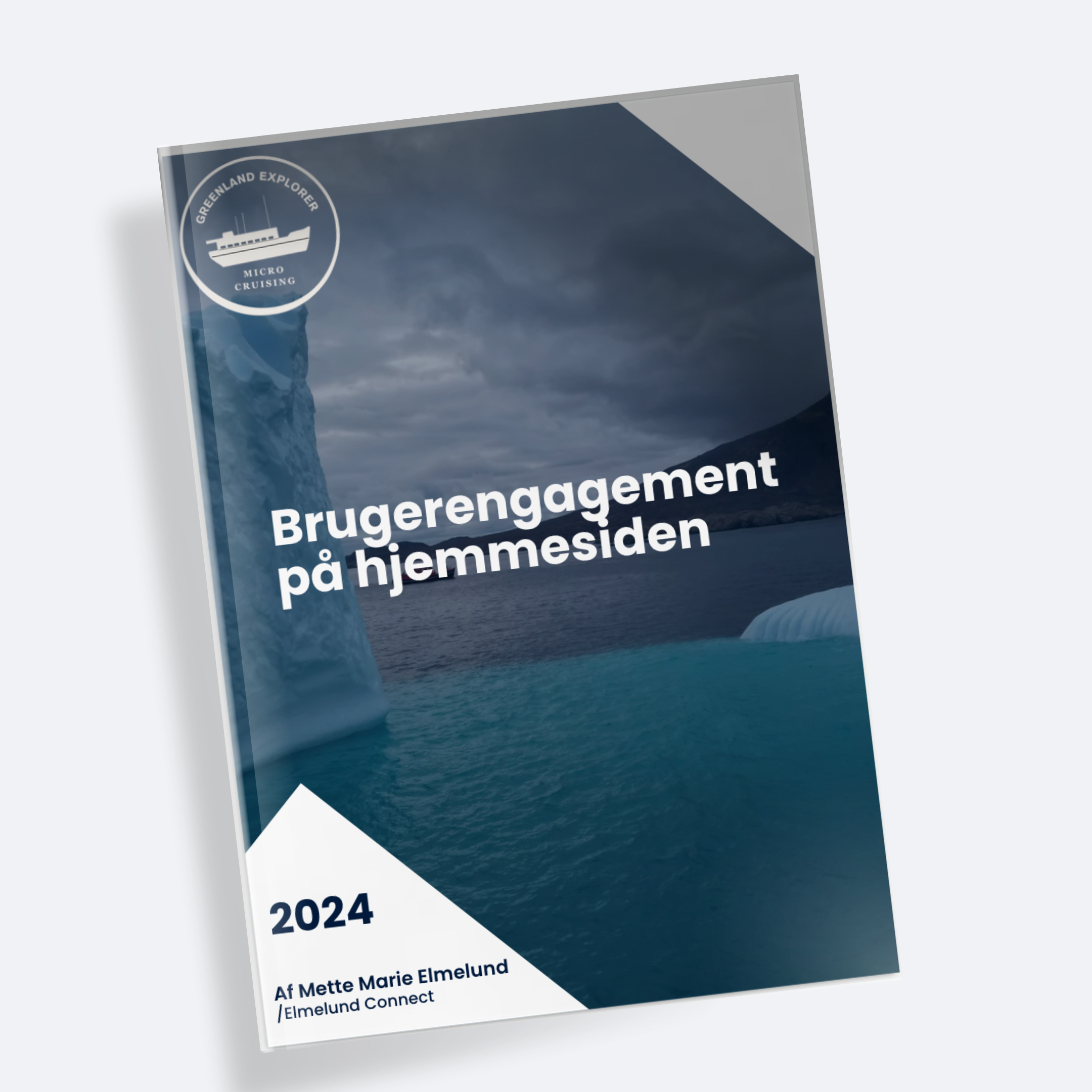 Rapporter og analyser