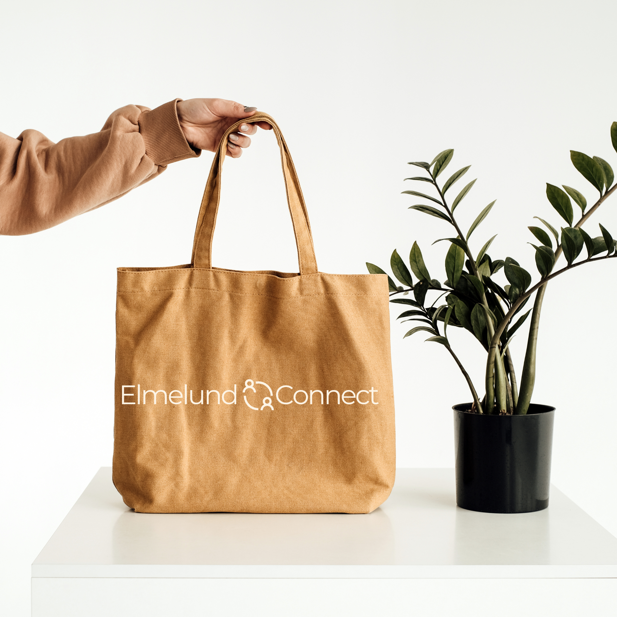 Brown and White Single Object Tote Bag Mockup Instagram Post.png