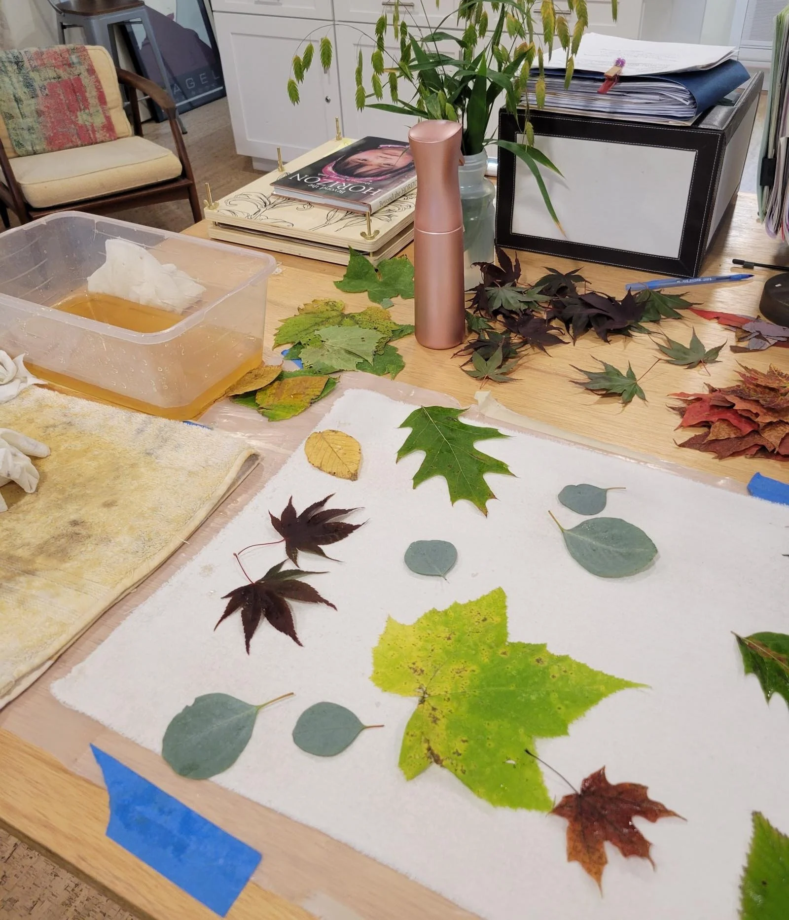 Botanicals arranged on fabric