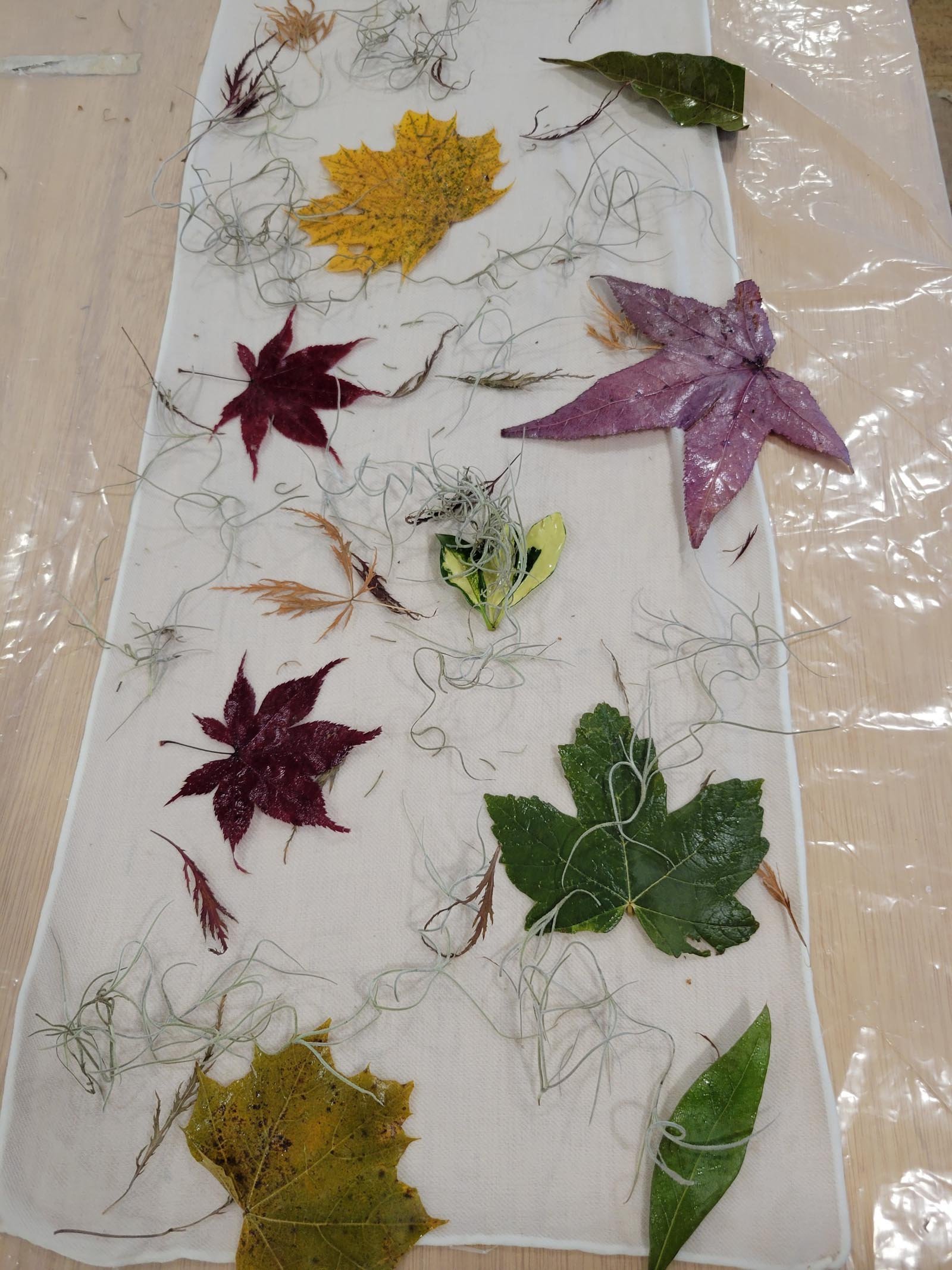 Botanicals spread across fabric