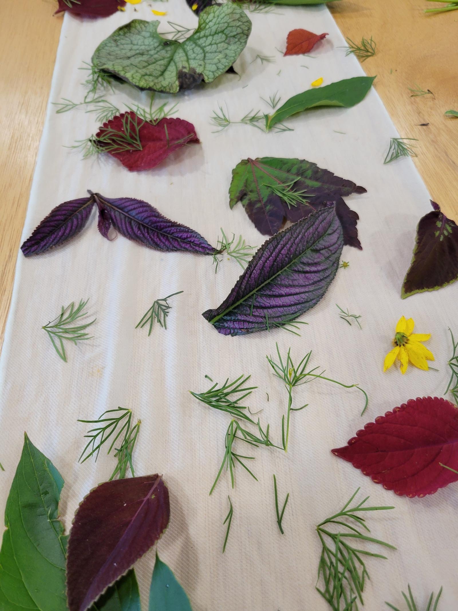 Botanicals spread out across fabric